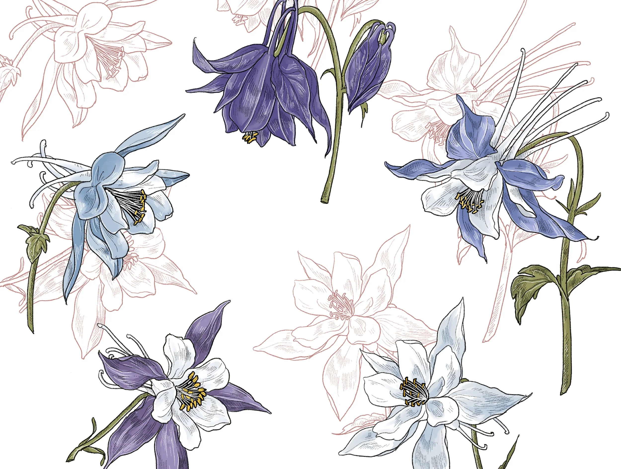 2022-BA022~028 Columbine, Grapefruit, Lilium, Pansy, Rosa C., Rosa Lace, Tulipa