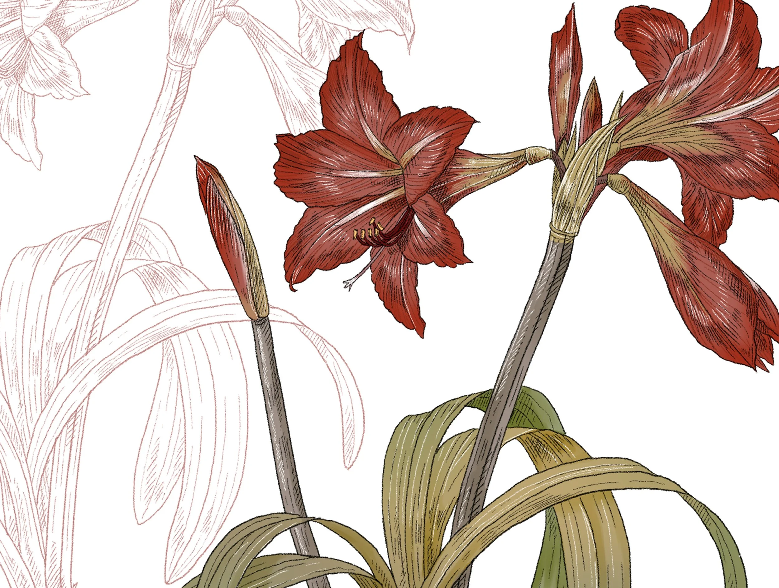2024-BA-039~049 Hibiscus, Lavendar, Narcissus, Palm Tree, Palm Tree 2, Pea Flower, Rosa, Rosemary, Sunflower, White Camellia, Zinnia
