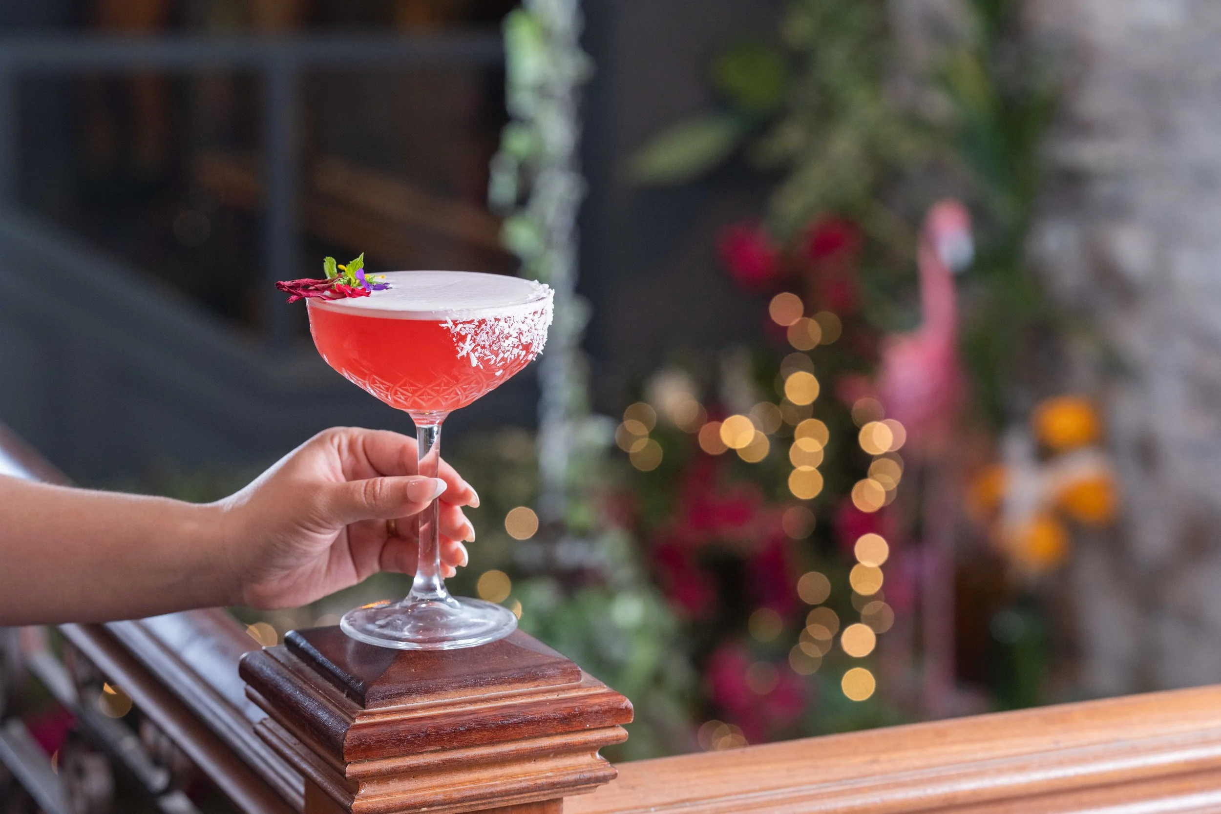 A hand holding a pink cocktail in a coupe glass garnished with edible flowers, against a blurred background with Christmas lights and a pink flamingo decoration.