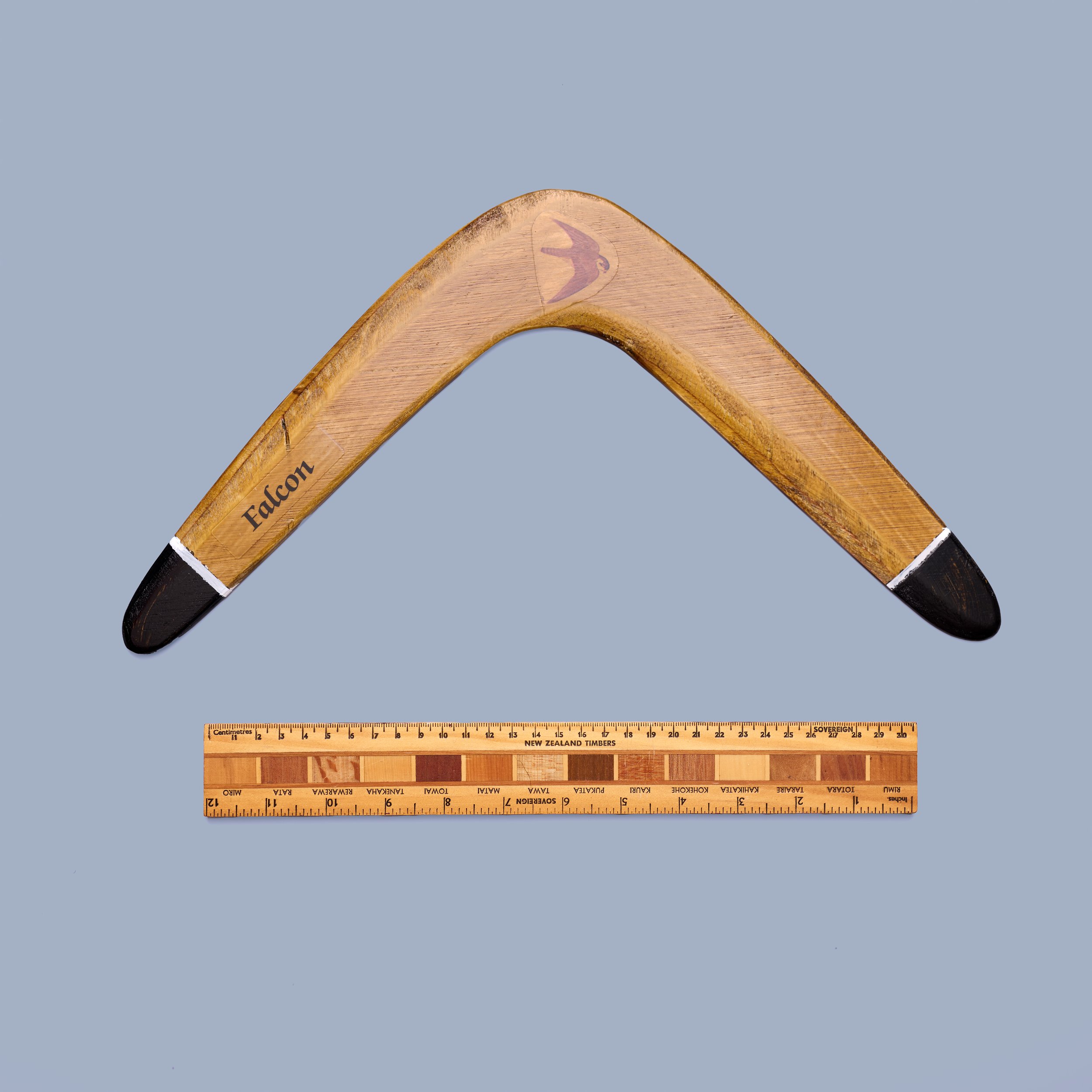 Falcon Boomerang