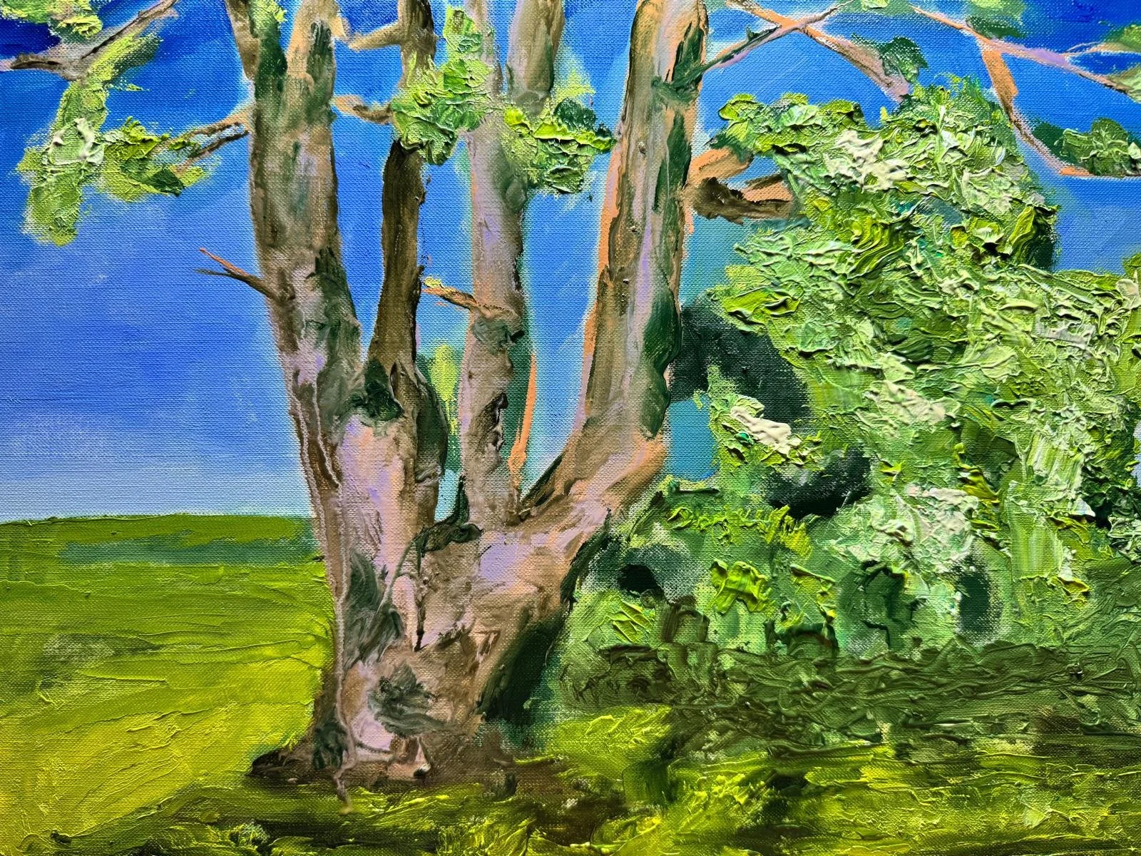 WhatsApp Image 2025-10-10 at 12.20.13_62fa64ca.jpg