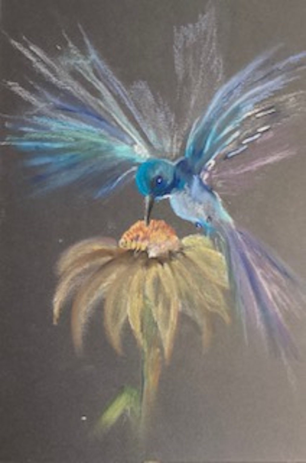 Hummingbird