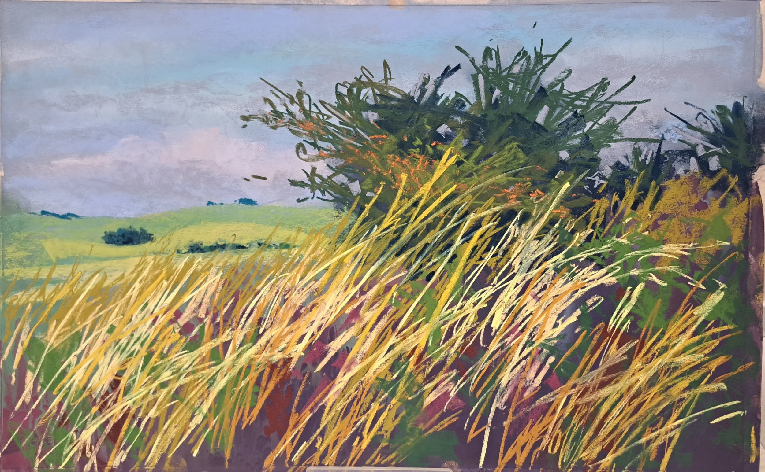 Painting of a rural landscape with a large bush, tall golden grass, rolling green hills, and a cloudy sky.