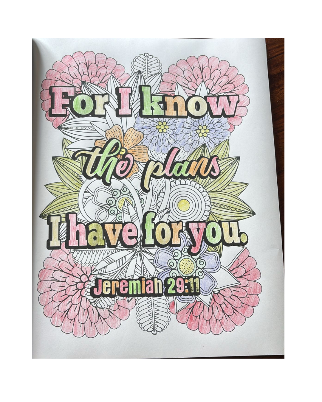 FOR I KNOW THE PLANS....png