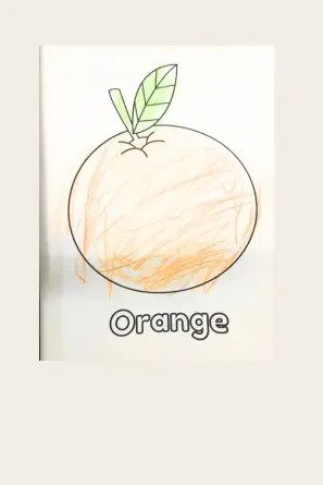 ORANGE.webp