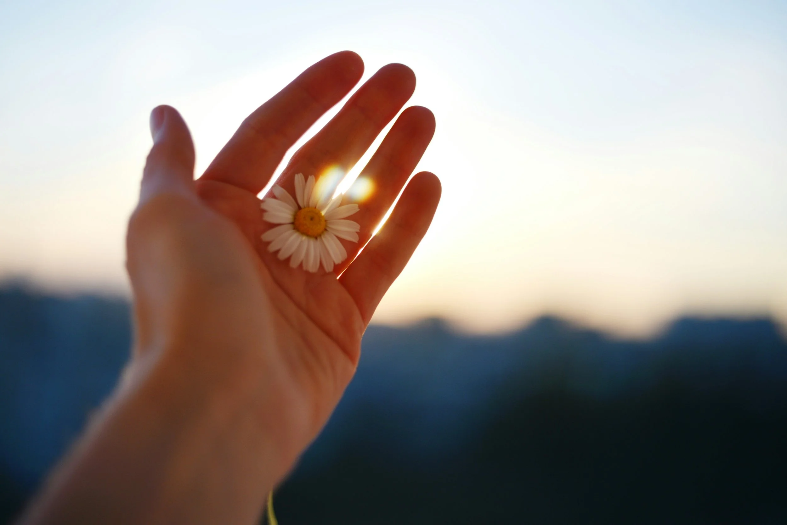 Reiki Treatment