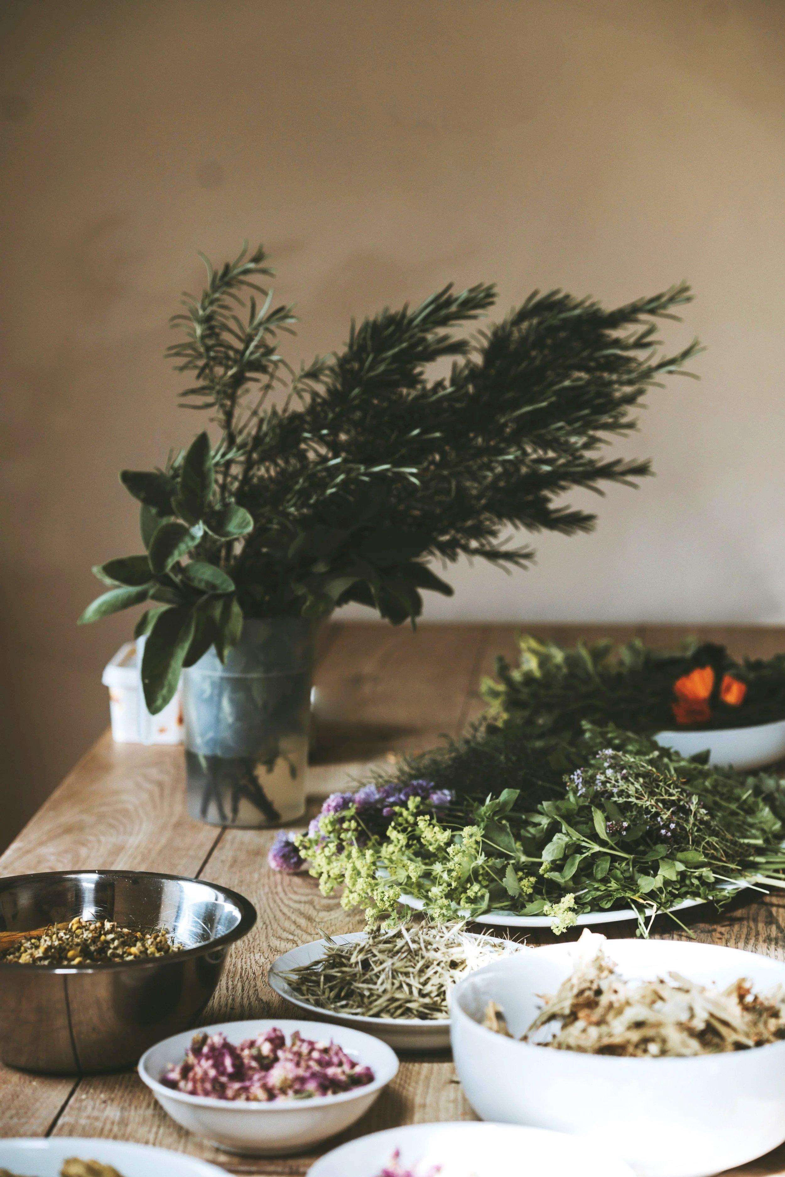herbal+image+for+liz.jpg