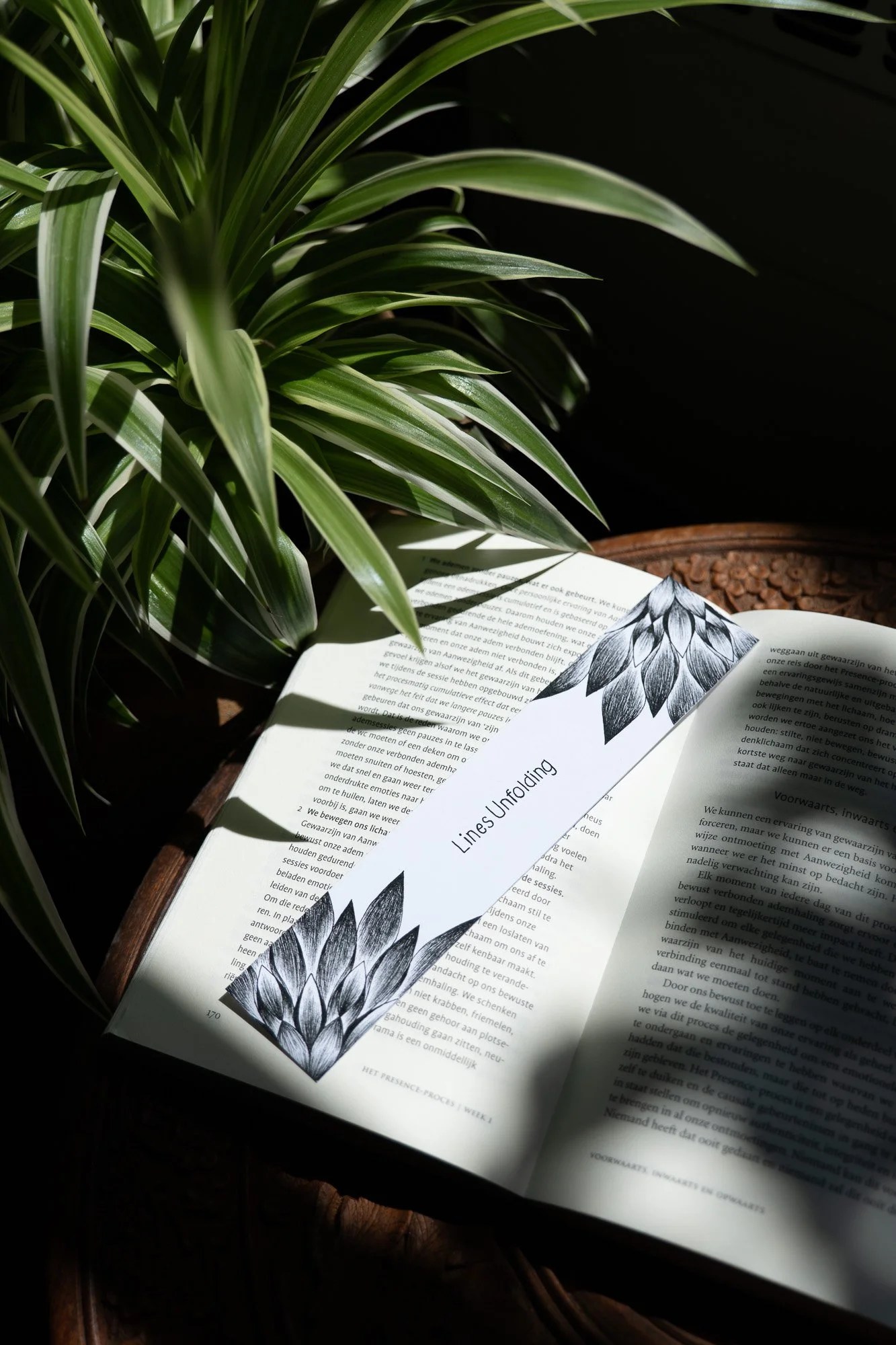 Een groene plant met lange, smalle bladeren die in de schaduw staat naast een open boek met een zwart-wit illustratie van bloemen en de titel 'Lines Unfolding'.