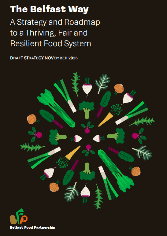 The Belfast Way - Cover Page