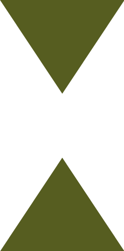 A black 'X' with olive green triangles at the top and bottom tips.