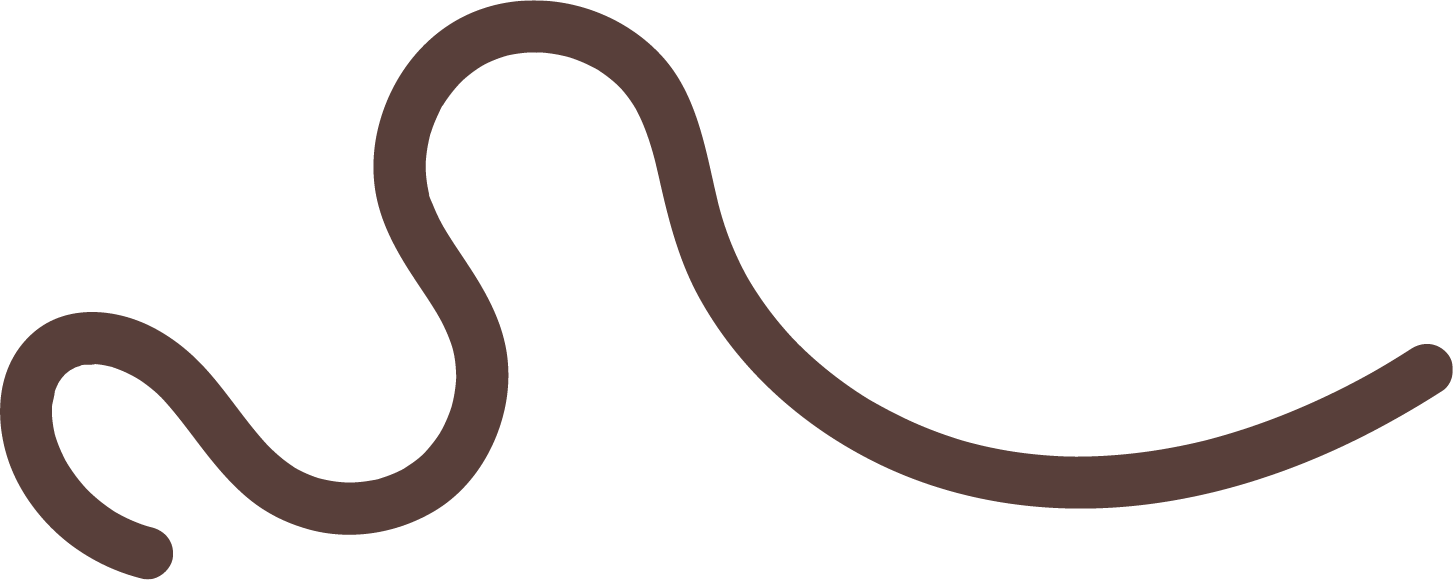 A brown worm with a segmented body on a white background.