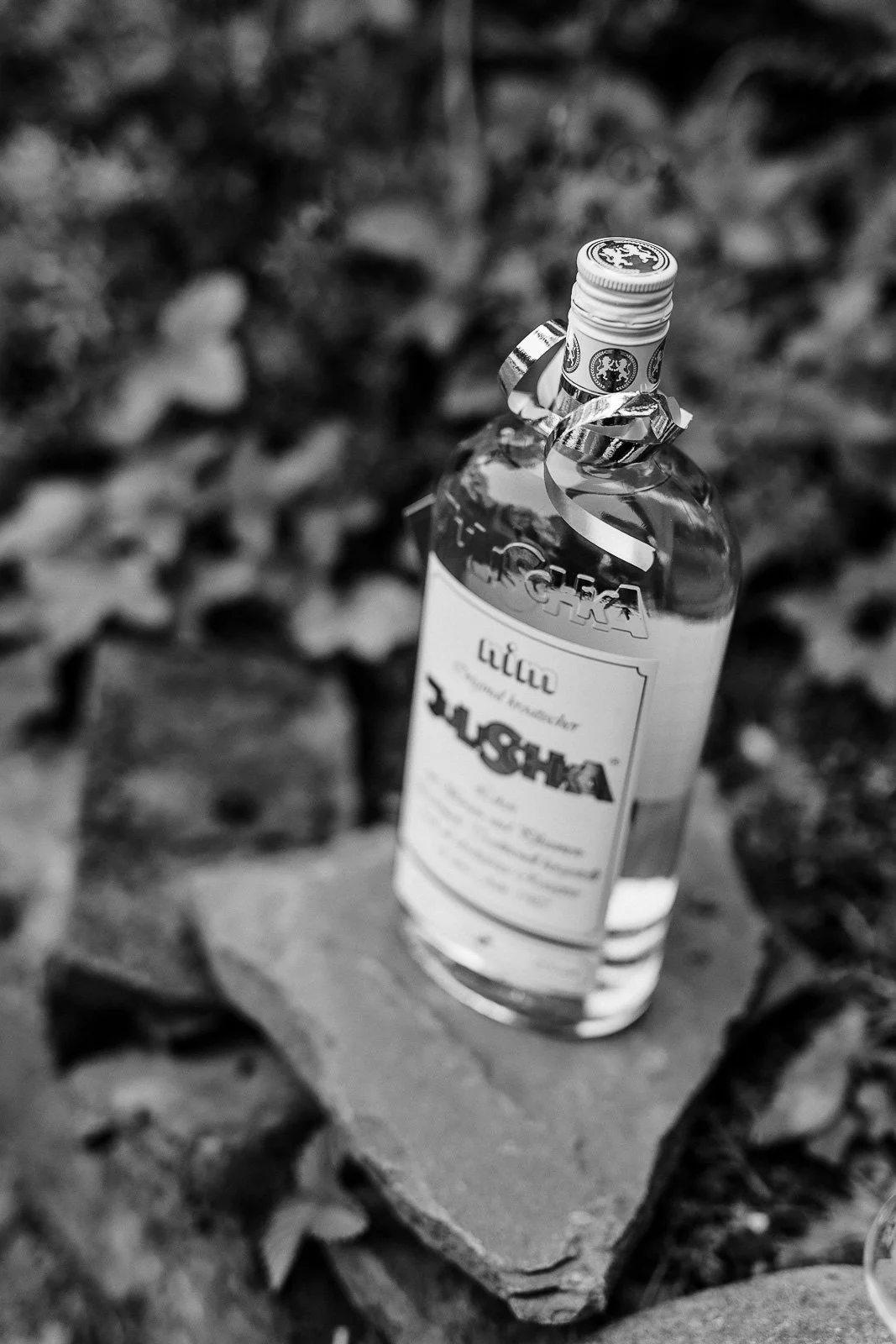 Romantikhotel neuhaus Iserlohn-DortmundHochzeitsfotograf_BrautblüteDüsseldorfBrautkleid_sw178.JPG