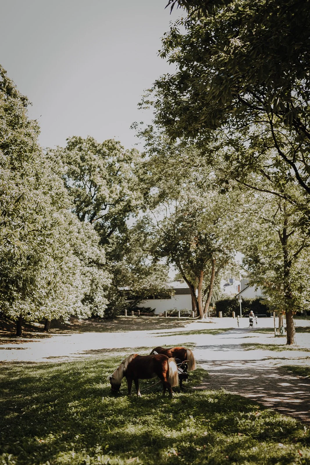 Gut Krusshof krefeld-hochzeitsfotografie, krefeld hochzeit, runo Floristik-freietrauung,lieblingsformat, hochwertige Hochzeitsreportage,sw246.JPG