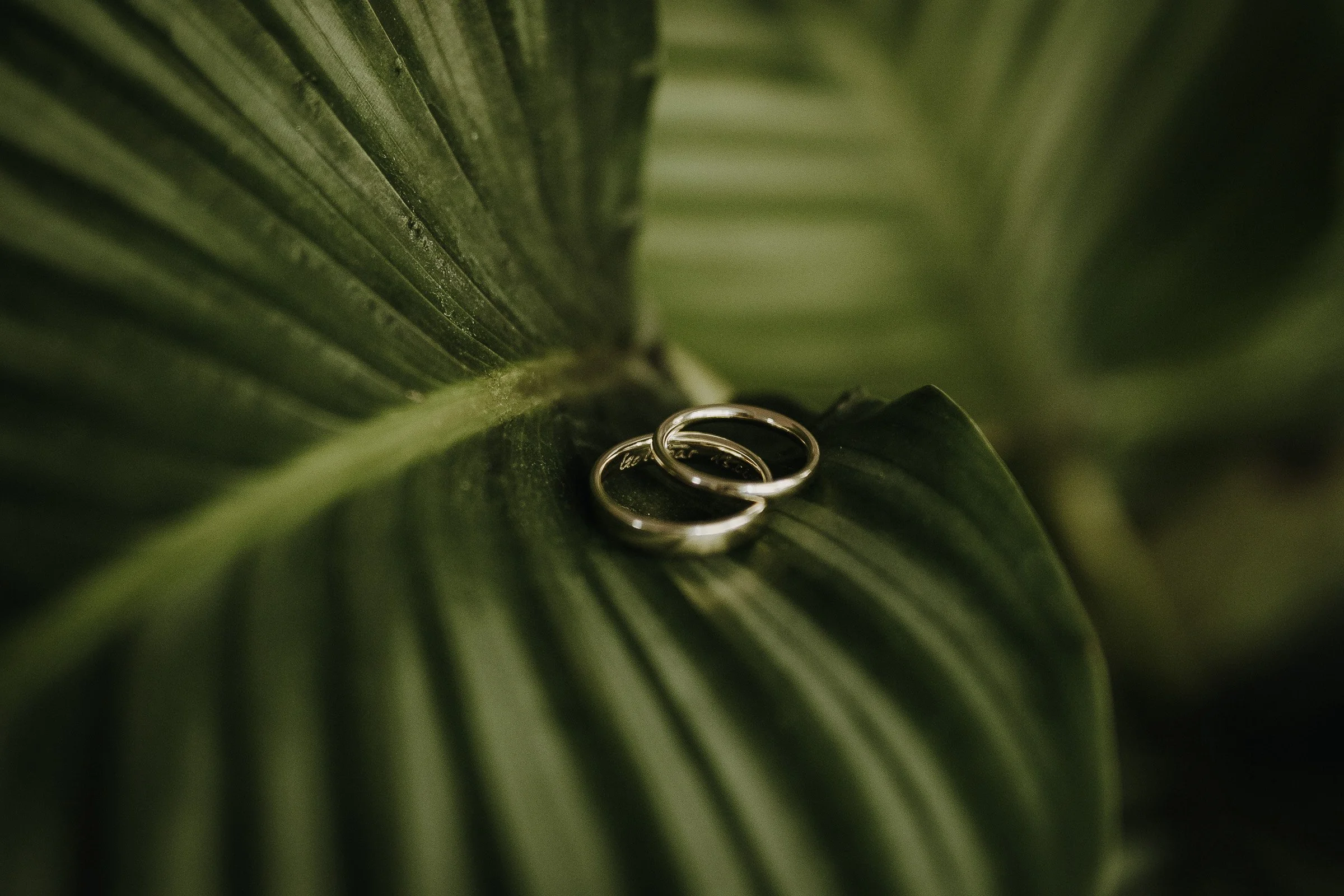 Gut Krusshof krefeld-hochzeitsfotografie, krefeld hochzeit, runo Floristik-freietrauung,lieblingsformat, hochwertige Hochzeitsreportage,sw9.JPG