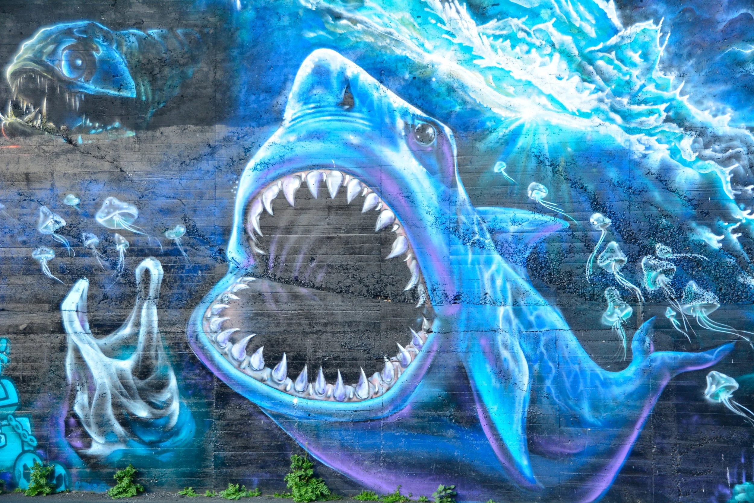 untitled-1205 - Copy.JPG