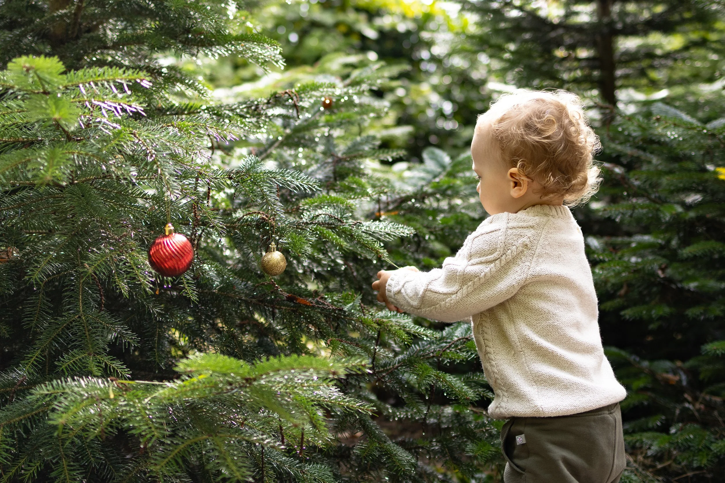 Ein kleiner Junge in einem weißen Pullover und braunen Hosen dekoriert einen Weihnachtsbaum im Wald mit Weihnachtskugeln.