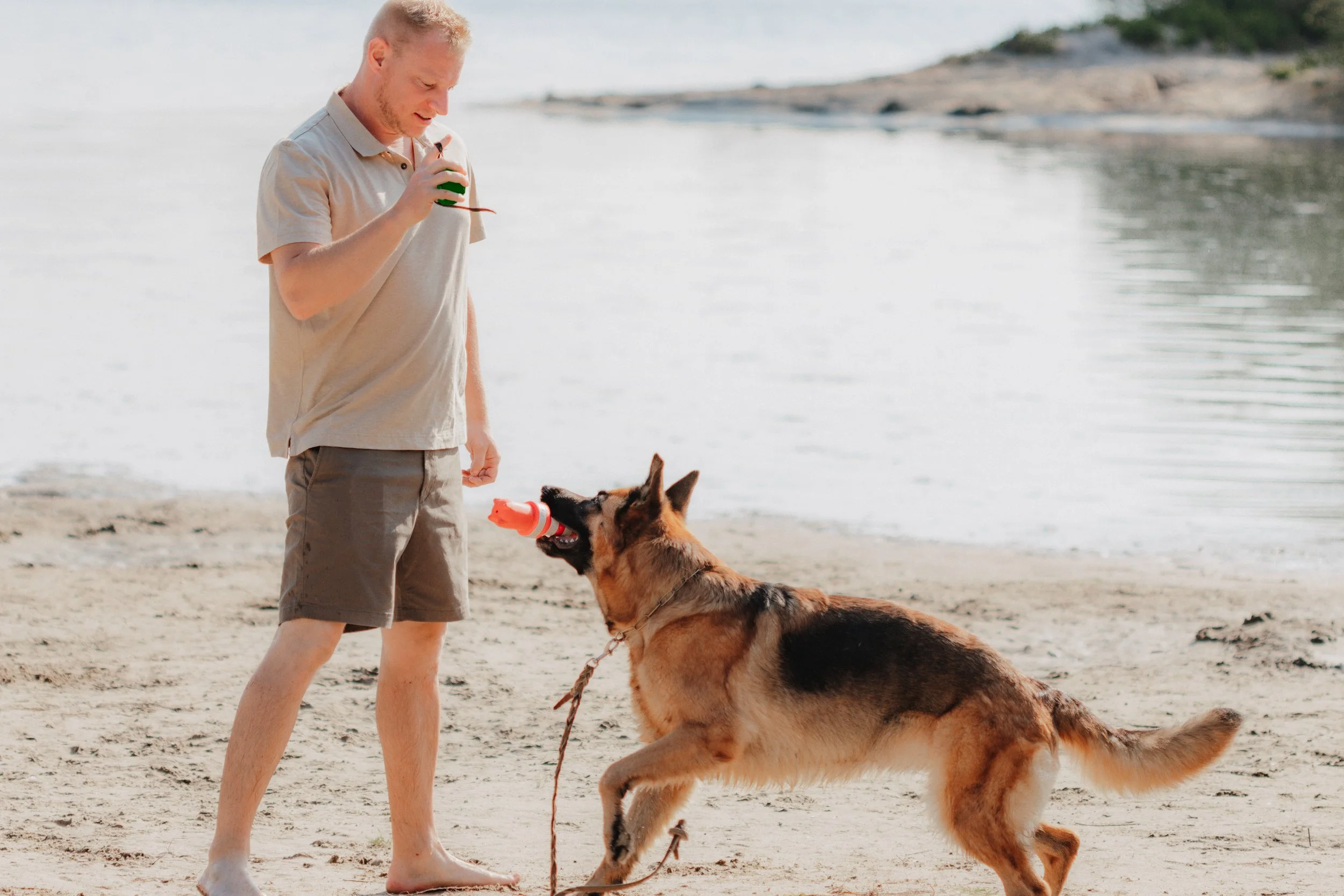 Ein Mann mit hellem Hemd und Shorts spielt mit einem deutschen Schäferhund an einem Strand, der einen Spielzeugball in den Pfoten hält.