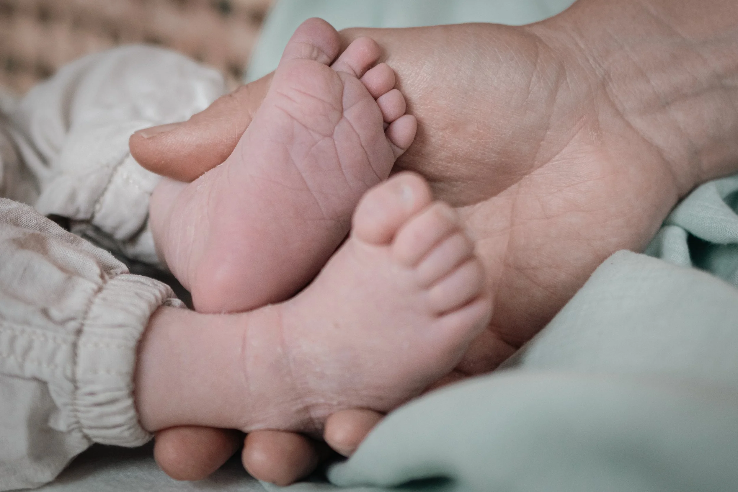 Familie Schwarz zu viert-15.jpg