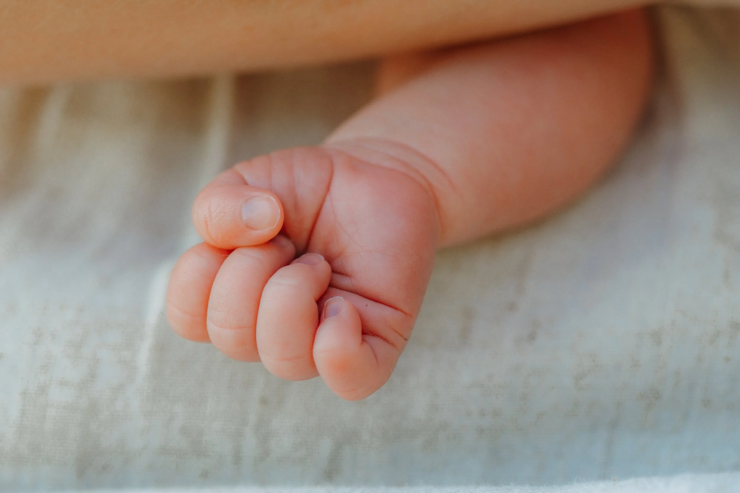 Nahaufnahme eines kleinen Babys, das die Hand eines Erwachsenen hält.