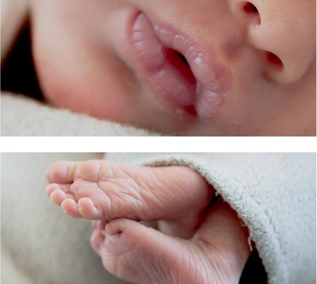 Nahaufnahme eines Babys, das an seinem Mund und seiner Hand liegt.
