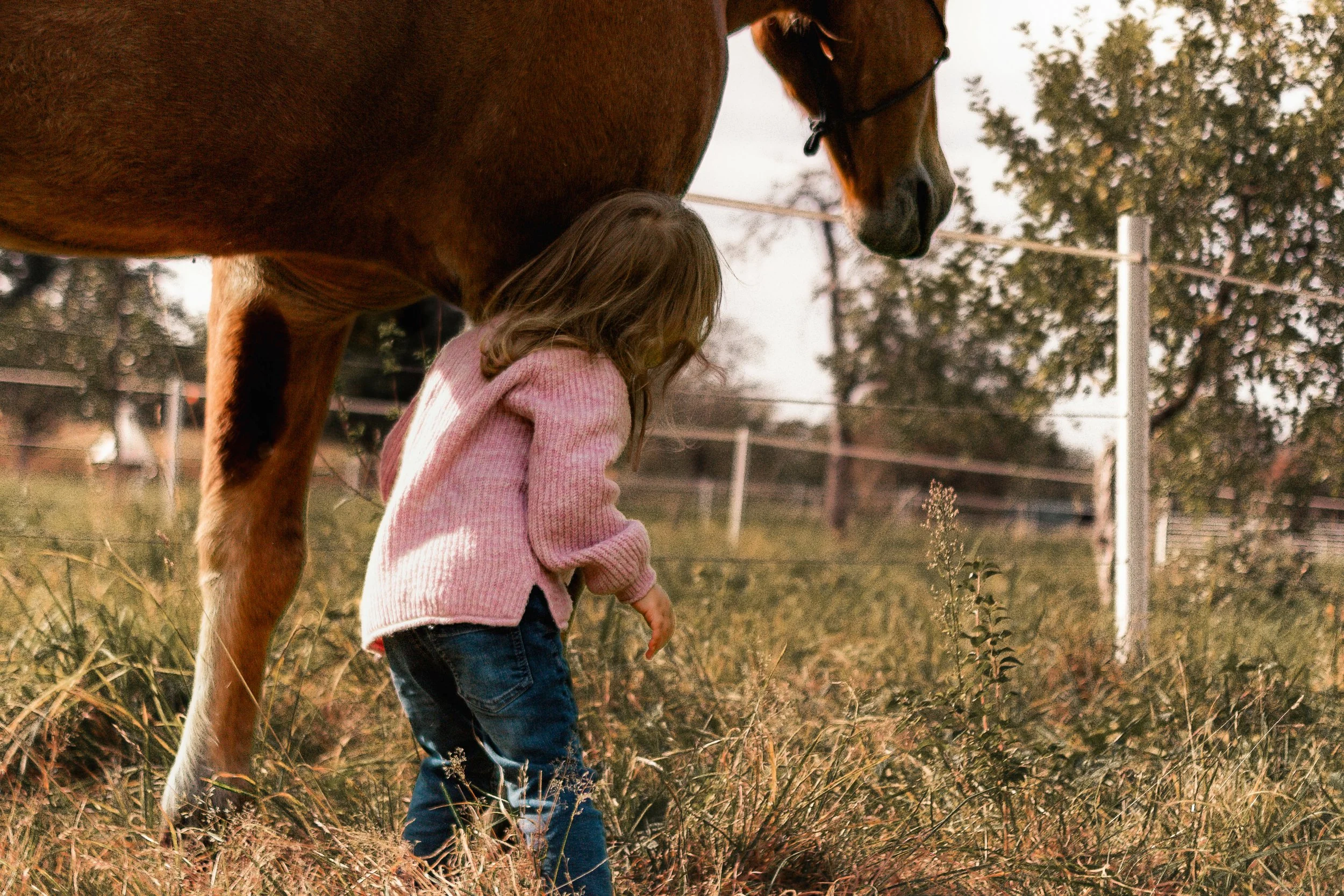 Ein kleines Mädchen in einer rosa Pullover und blauen Jeans steht neben einem braunen Pferd auf einer Weide. Das Mädchen scheint das Pferd zu streicheln oder zu beobachten.