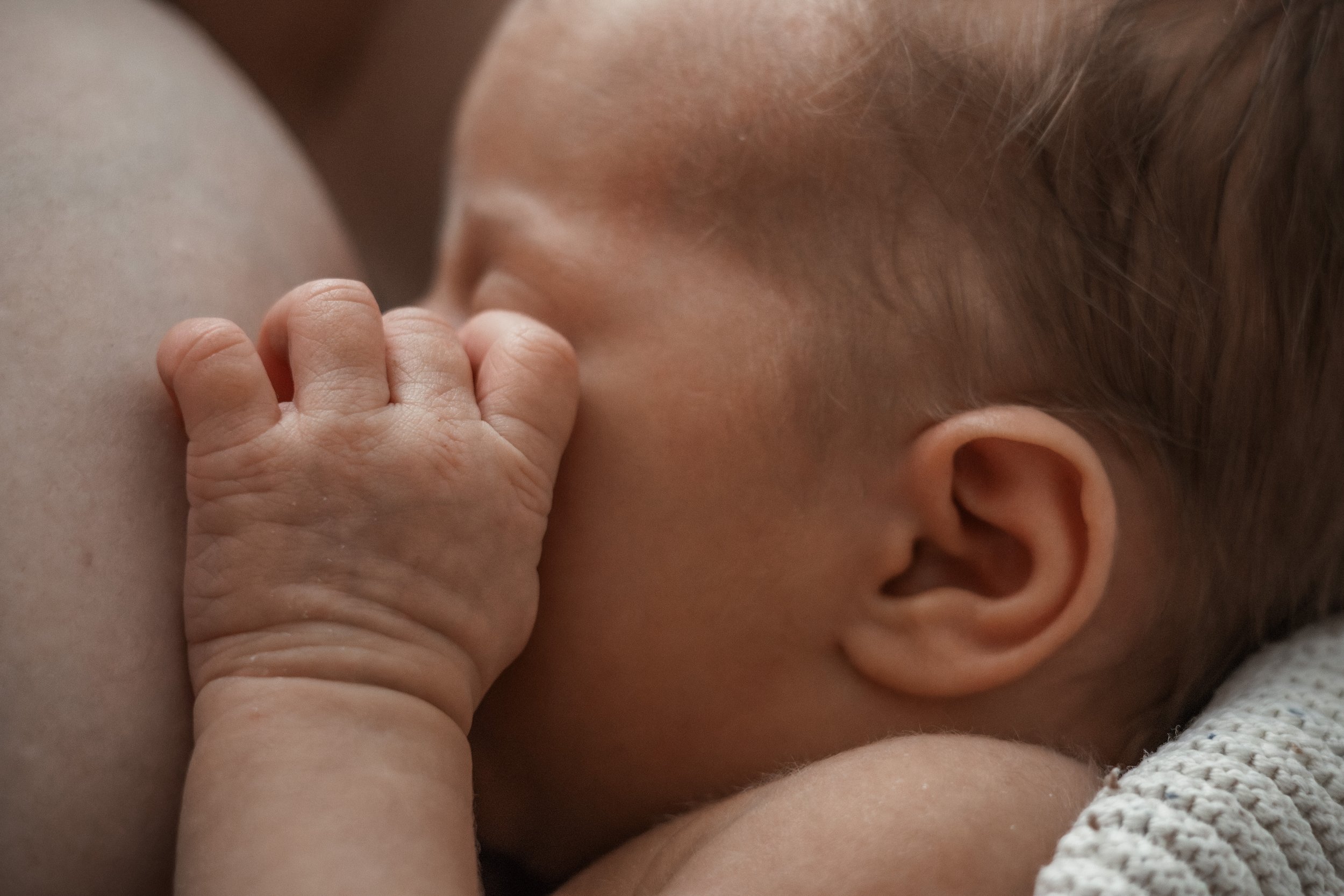 Nahaufnahme eines Babys, das beim Stillen ist, fokussiert auf das Gesicht, das Ohr und die Hand des Babys.