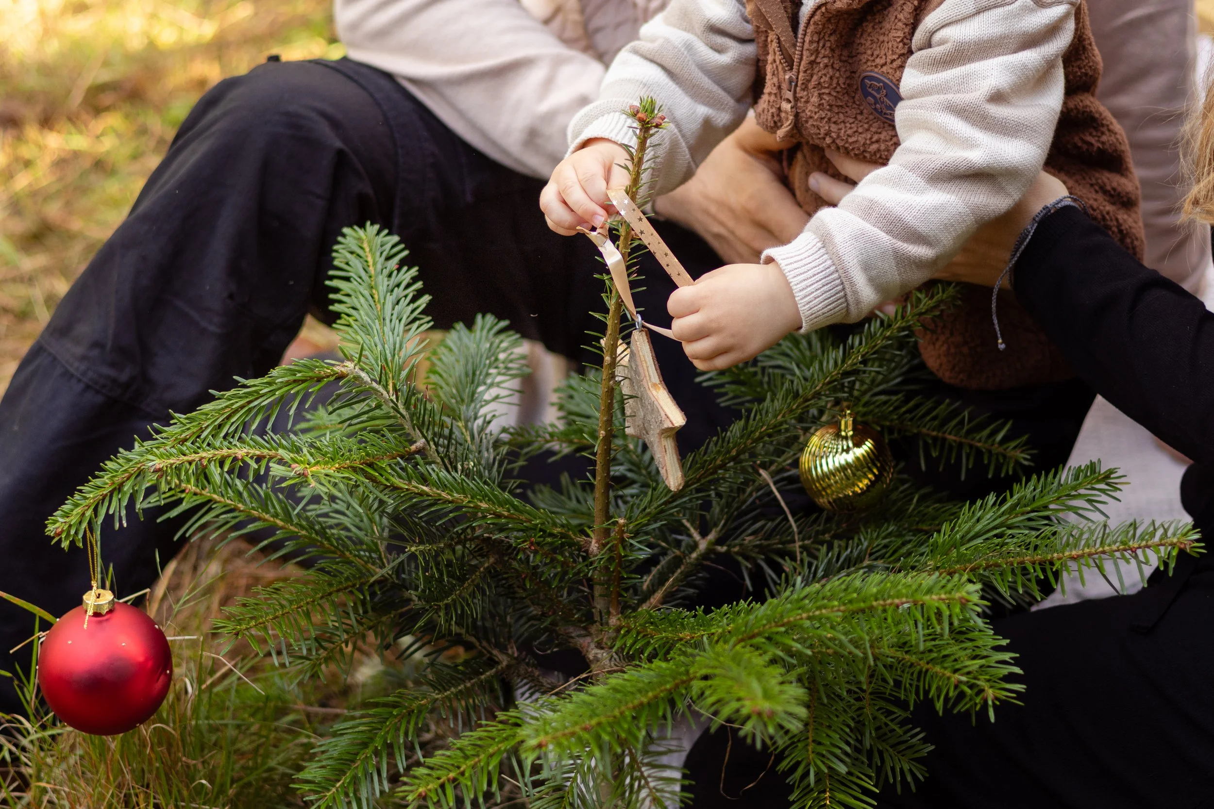 Kinder schmücken einen Weihnachtsbaum mit Glaskugeln und einer Holzornament aus einem kleinen Birken-Ästchen im Freien.