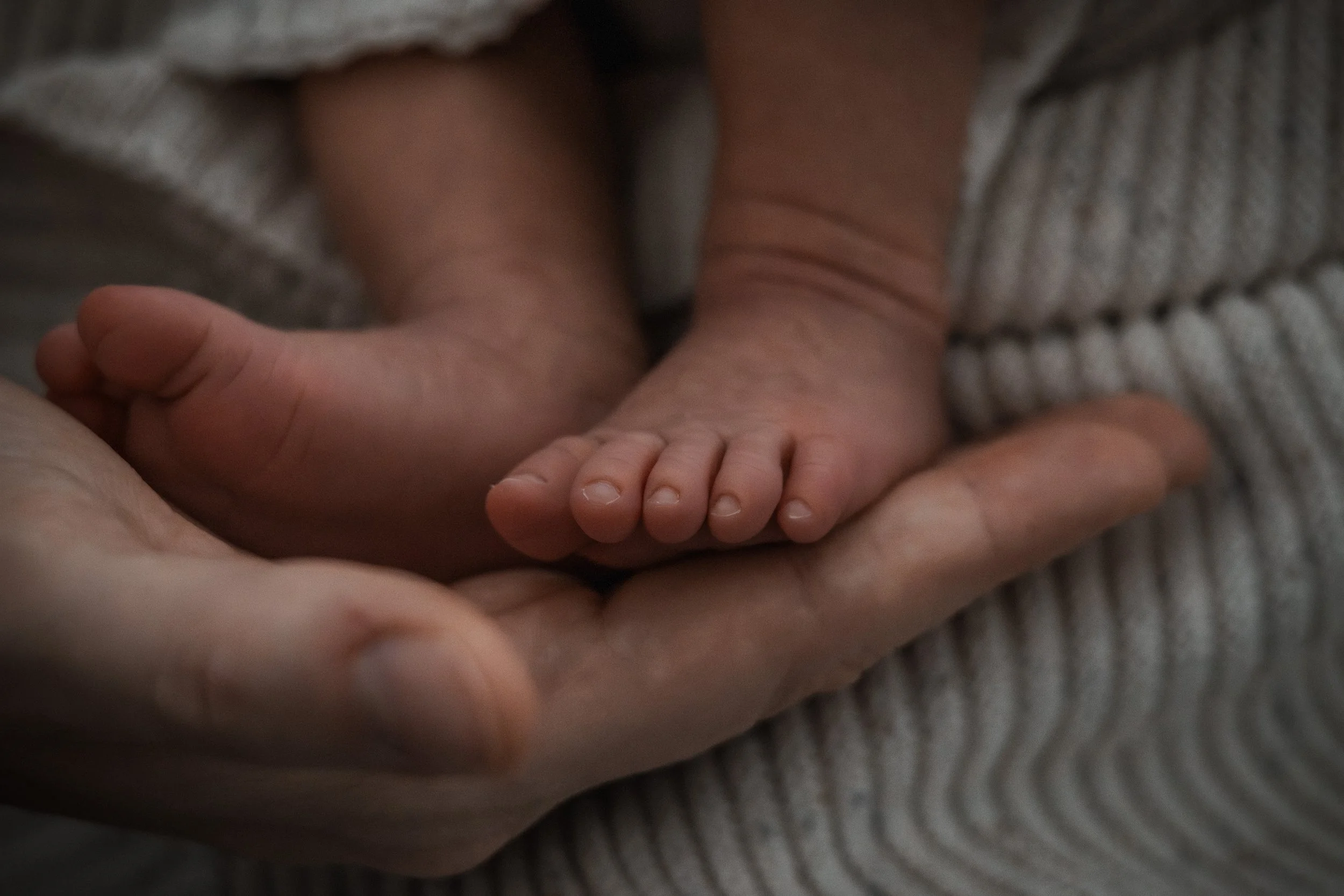 Nahaufnahme einer kleinen Hand, die von einer größeren Hand gehalten wird.