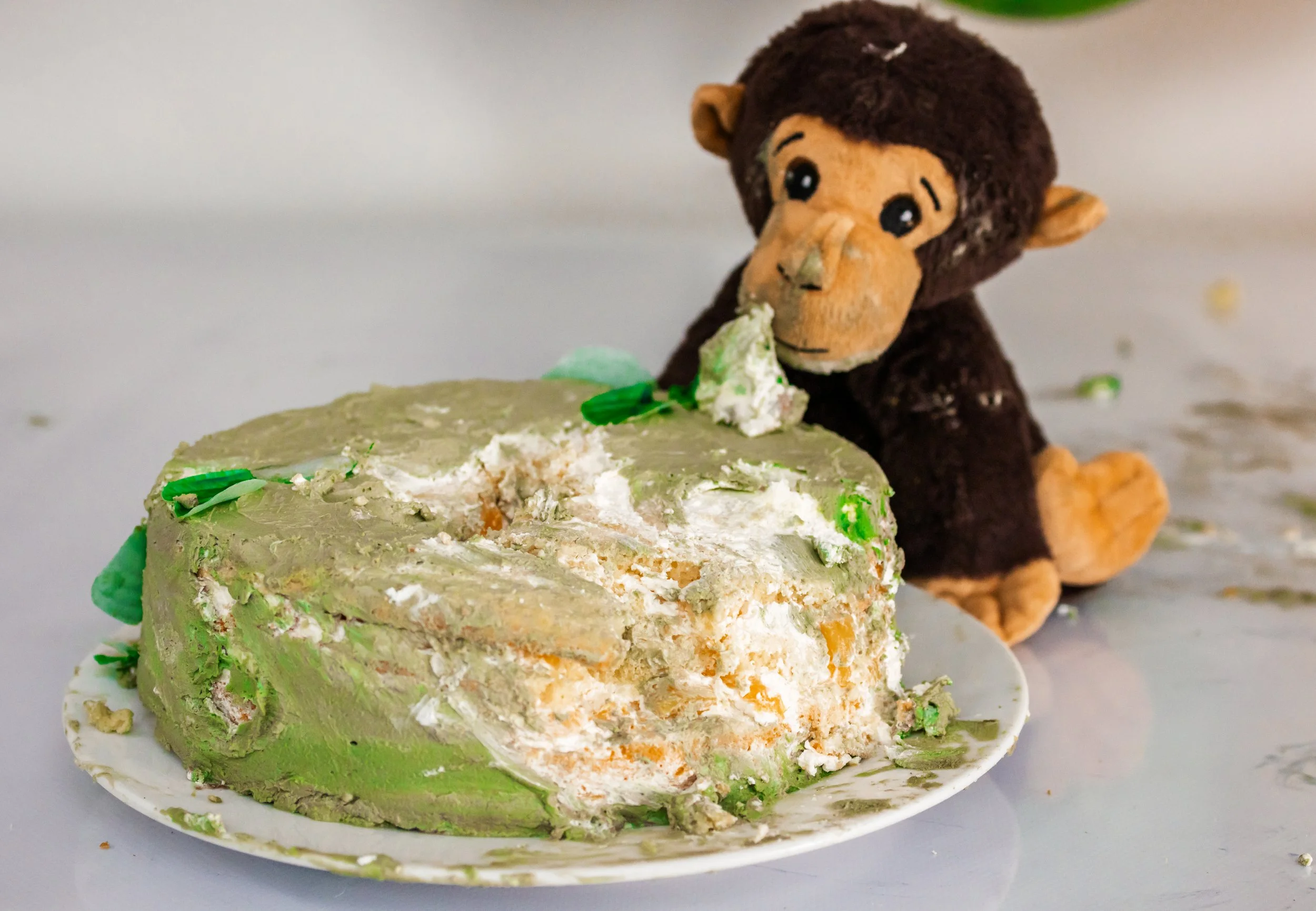 Ein zerfledderter, unvollständiger grüner Kuchen auf einem weißen Teller mit einem Plüschtier eines Affen im Hintergrund.