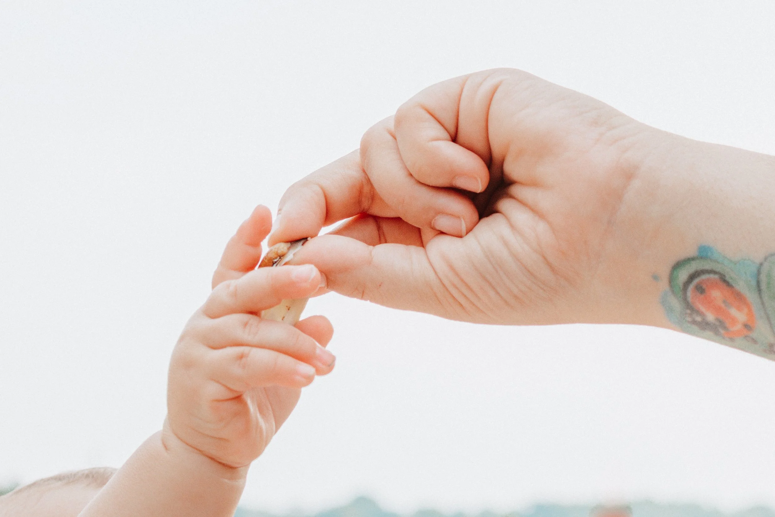 Eine erwachsene Hand hält die kleine Hand eines Babys, beide Hände sind in einem Bild zu sehen gegen einen weißen Himmel im Hintergrund.