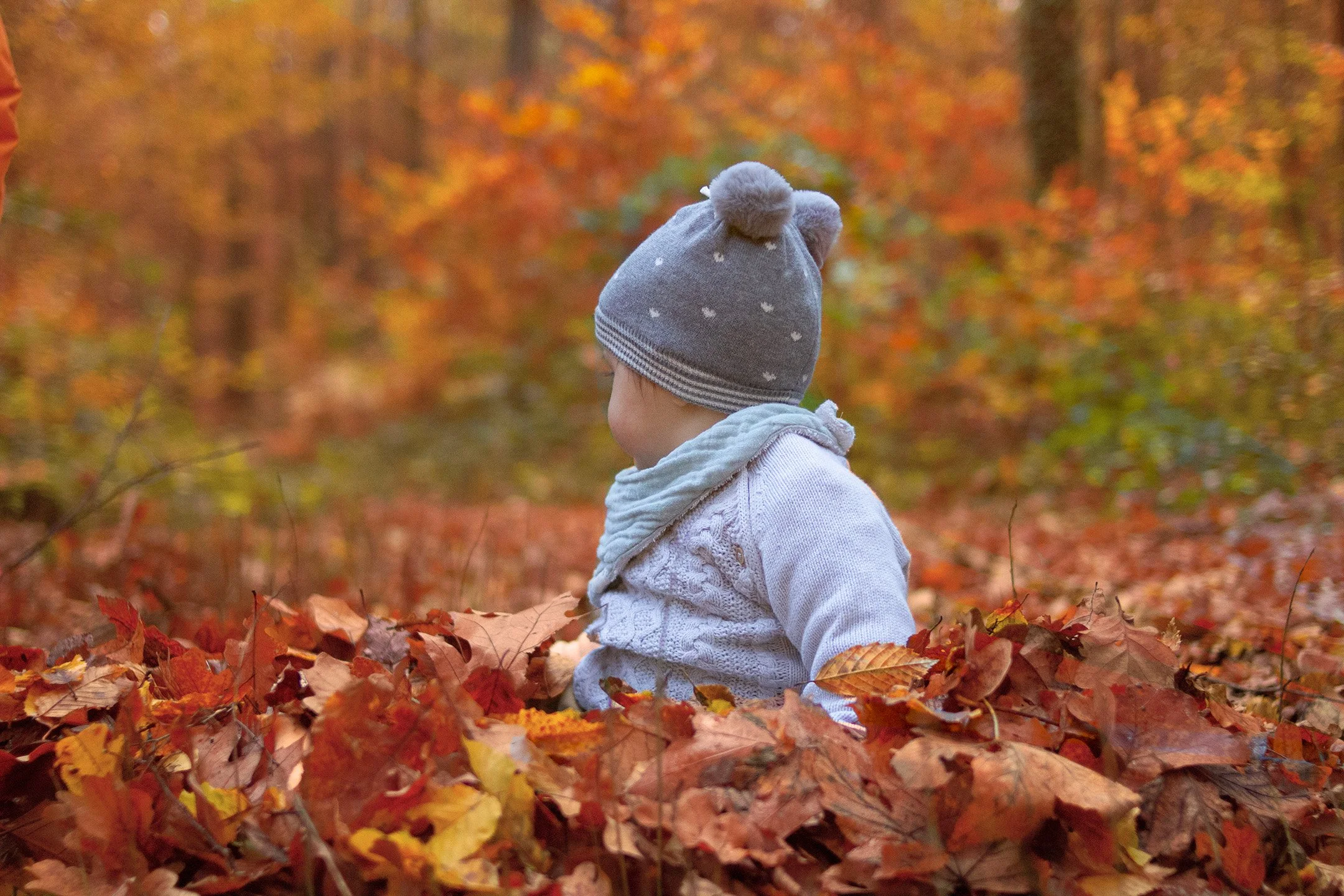 Kleines Kind sitzt in einem Laubhaufen im Herbstwald, trägt eine graue Mütze mit Pompon und einen weißen Pullover.