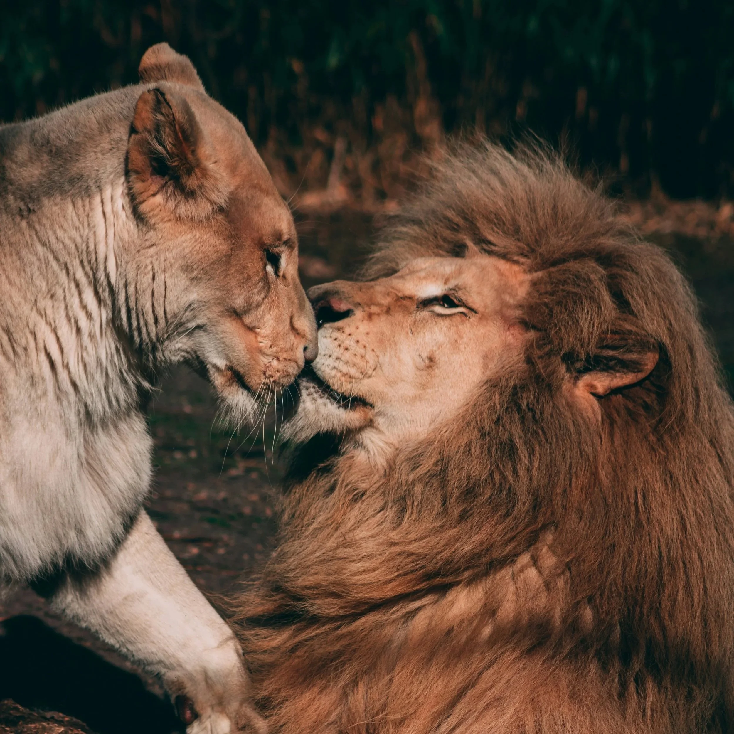 Libido en berne : les causes souvent ignorées