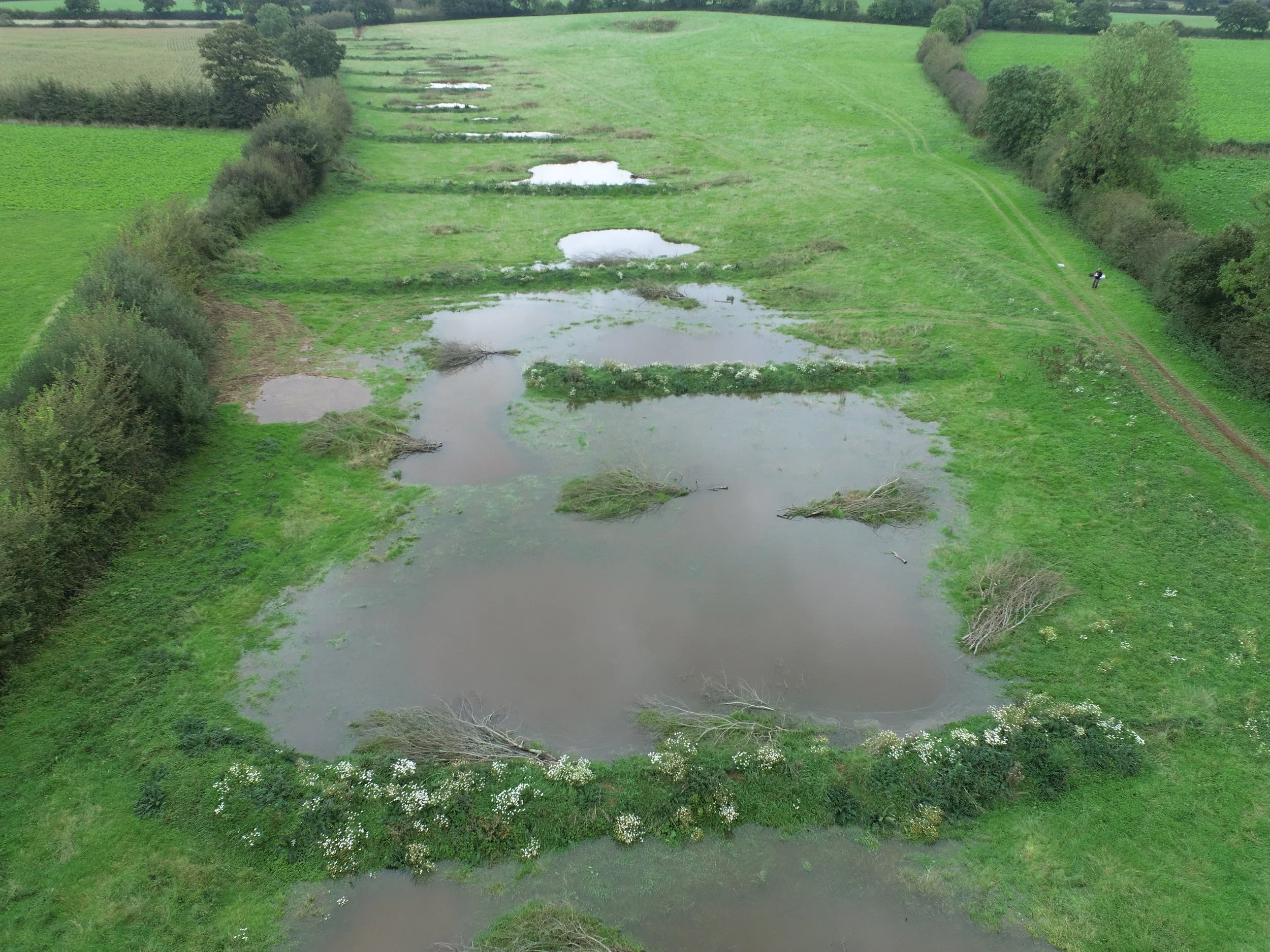 A large green field with small ponds and trees along the edges, wetland creation, habitat restoration, ecological restoration UK, natural flood management solutions, biodiversity