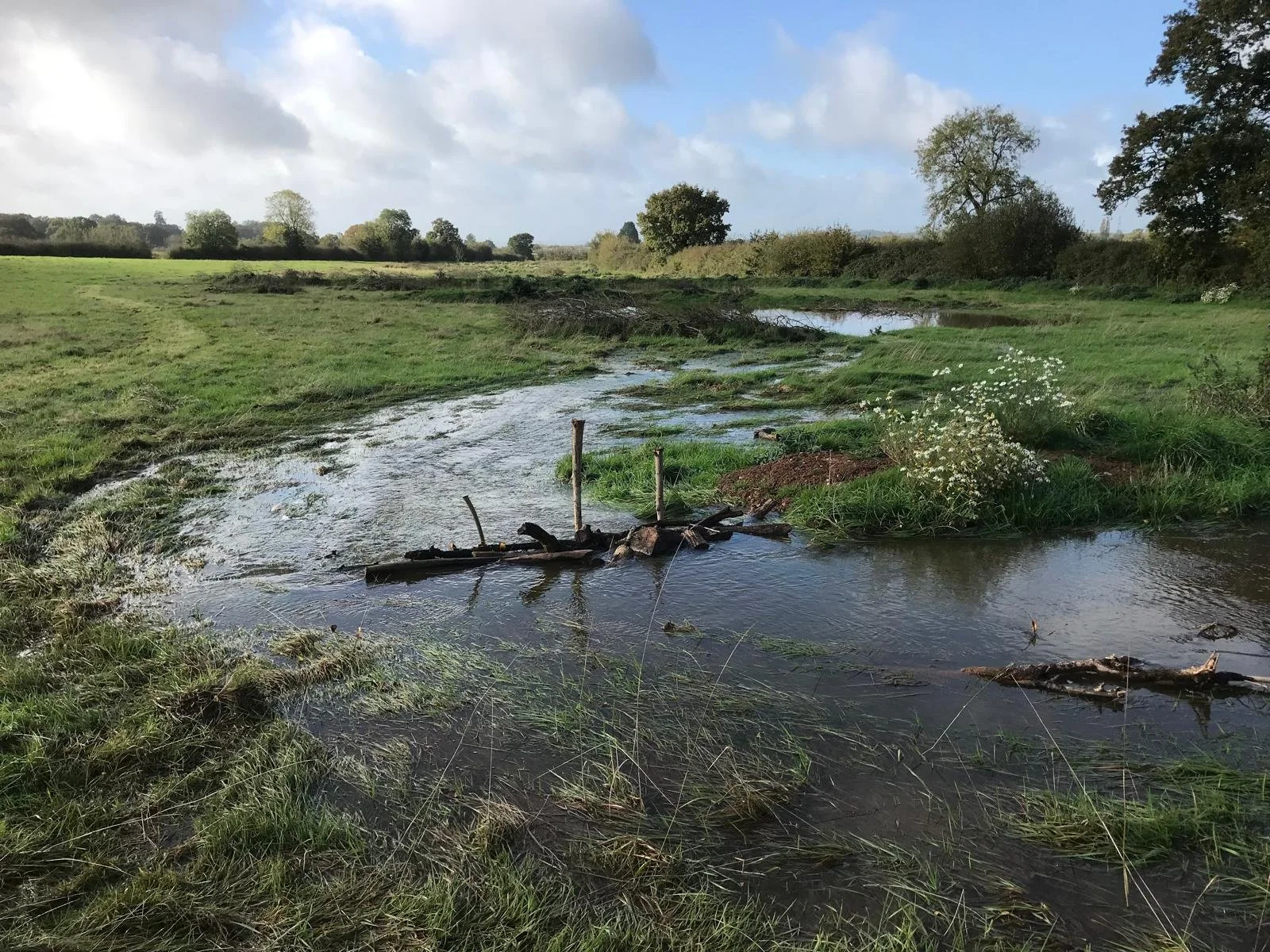 A small stream flowing through a green field with trees in the background under a partly cloudy sky. wetland creation and river restoration
habitat restoration and biodiversity, regenerative farming advice UK, natural flood management solutions