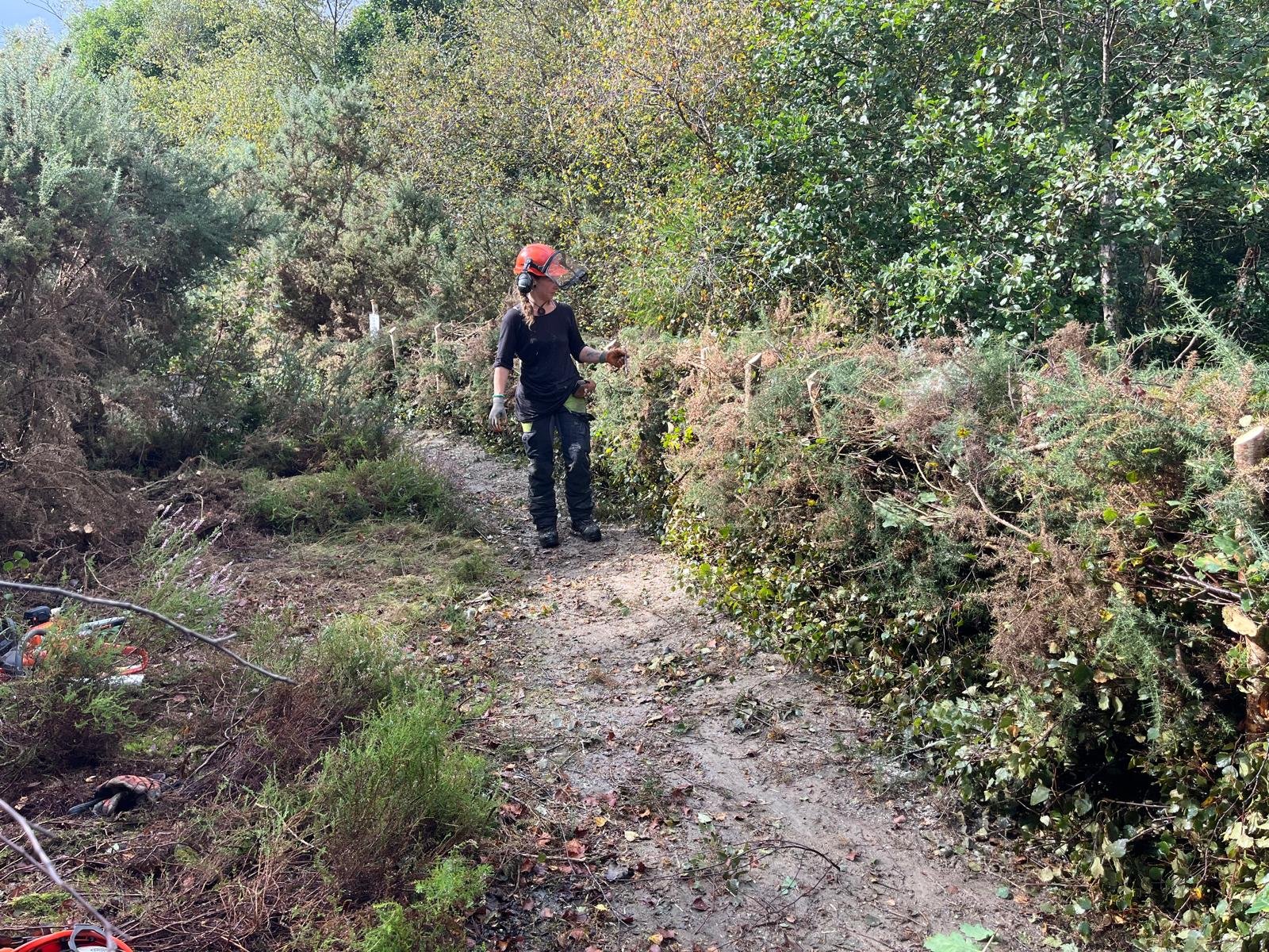 Habitat restoration across farmland in South West England improving biodiversity and ecosystem health
