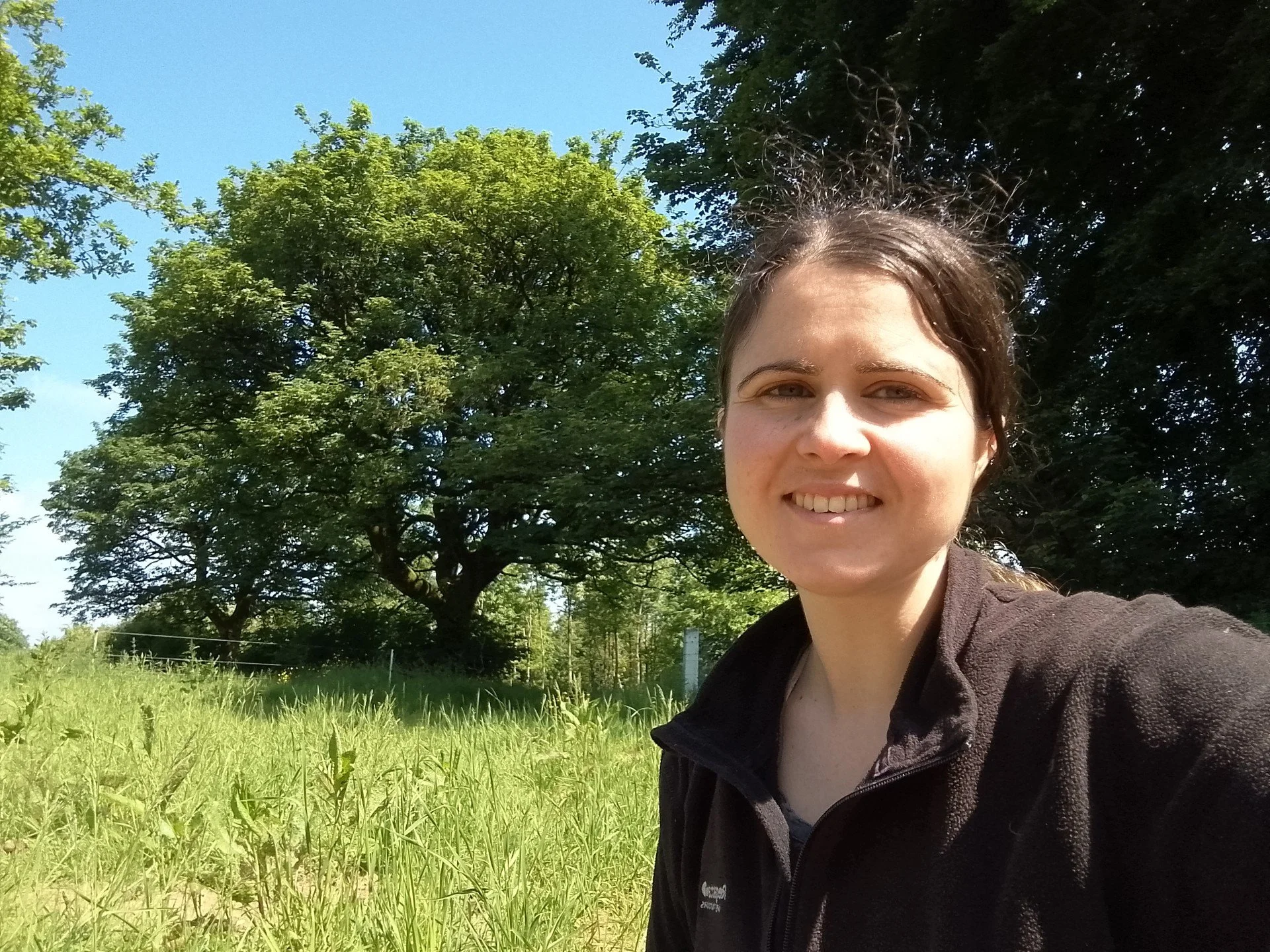 Botanical and insect survey assessing habitat quality and species abundance