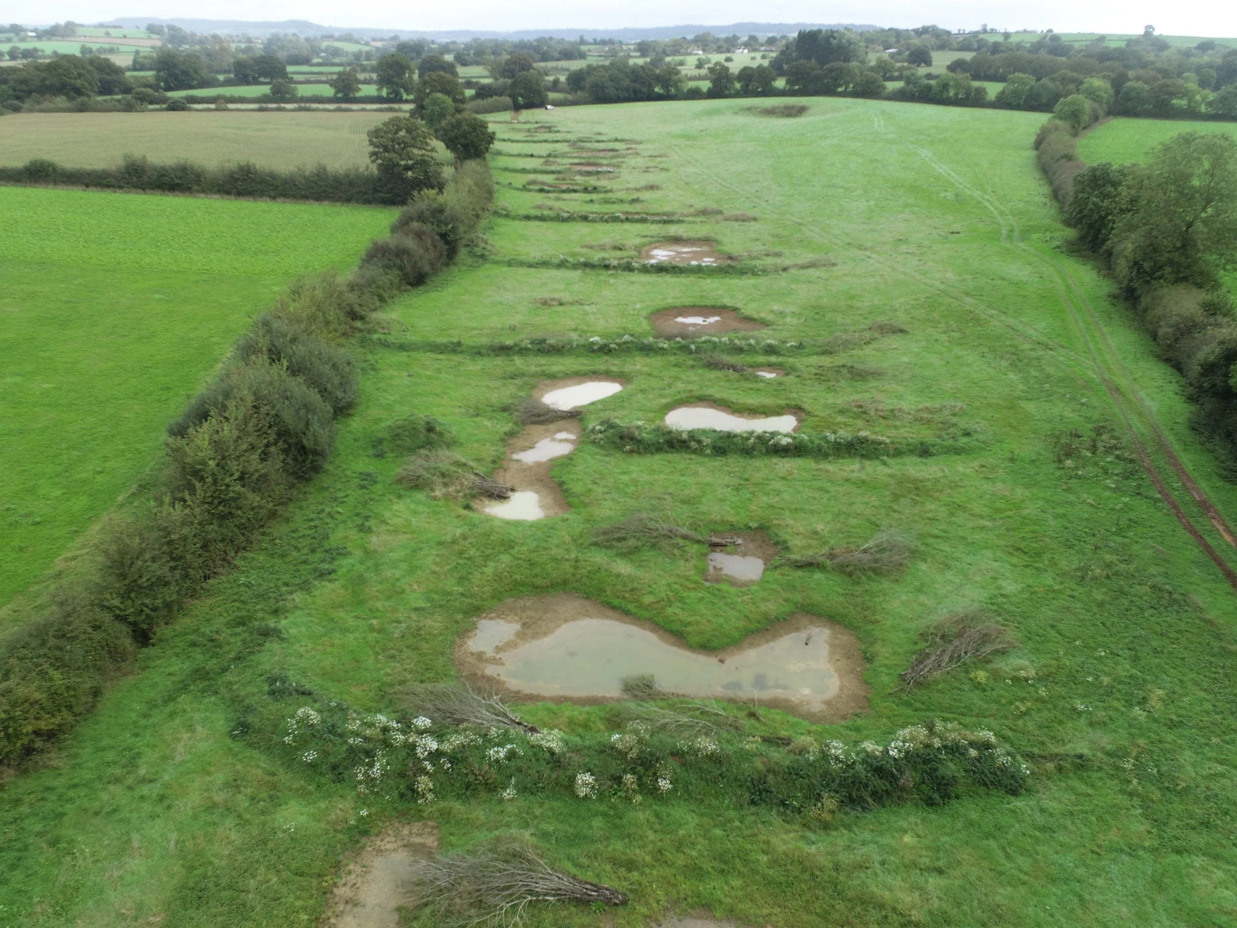 Green fields with several small ponds and some scattered bushes and trees, viewed from above on a cloudy day. conservation services South West England, ecological restoration UK, wetland creation and drone mapping