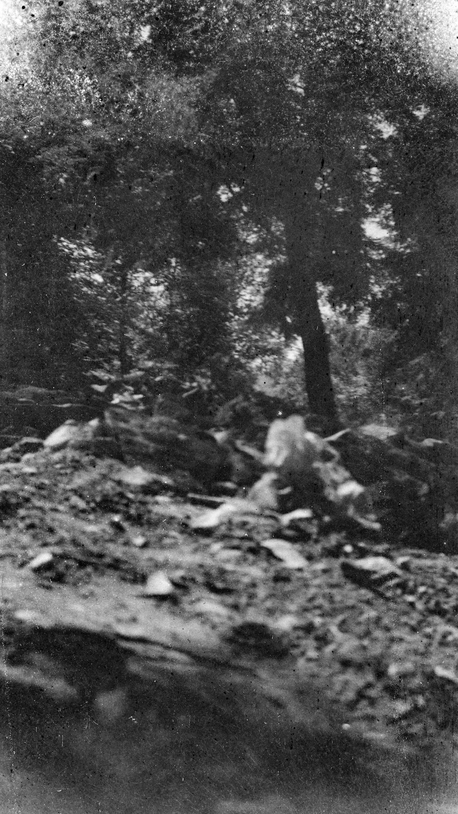 0808_003.jpg