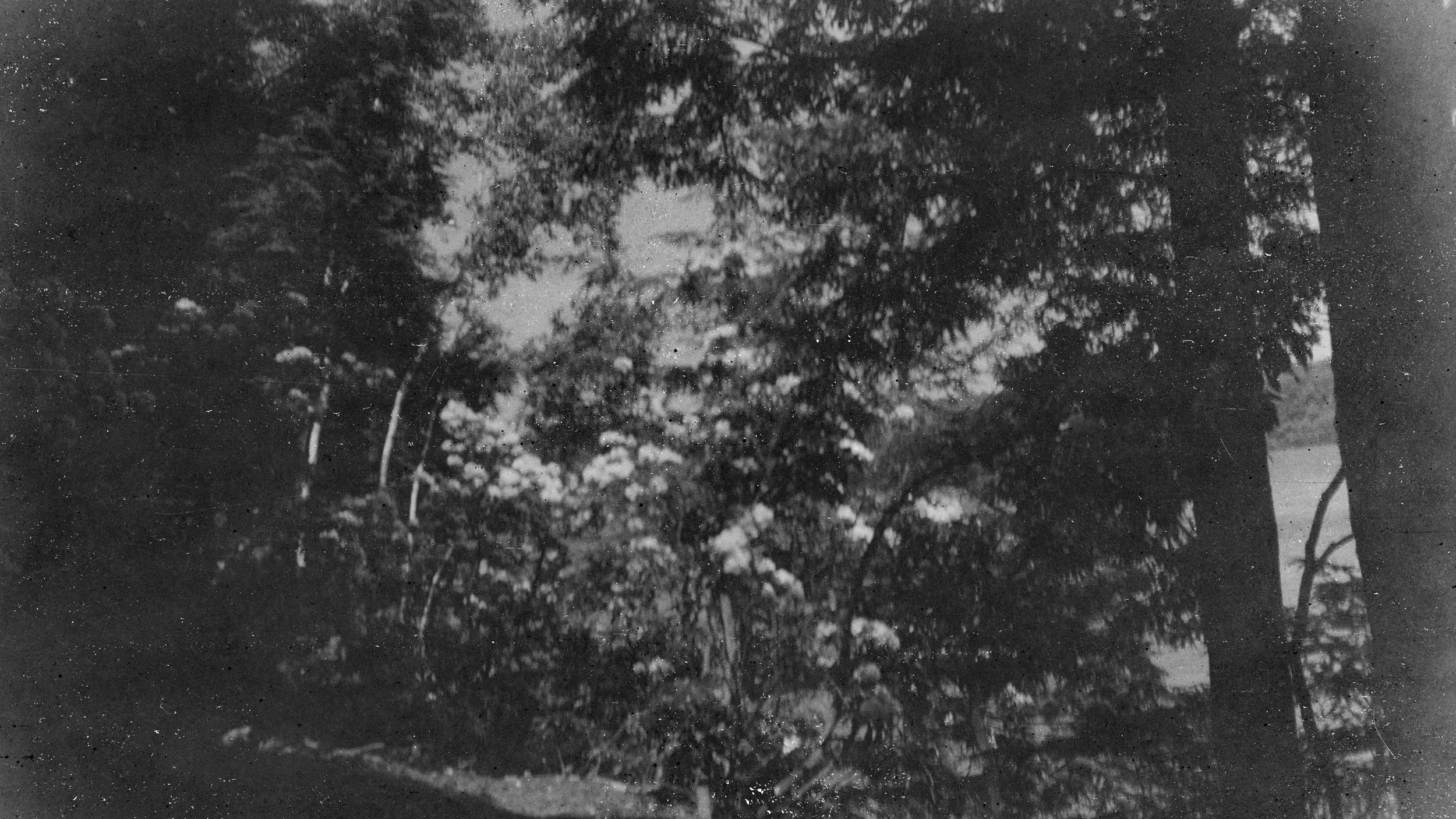 0808_007.jpg