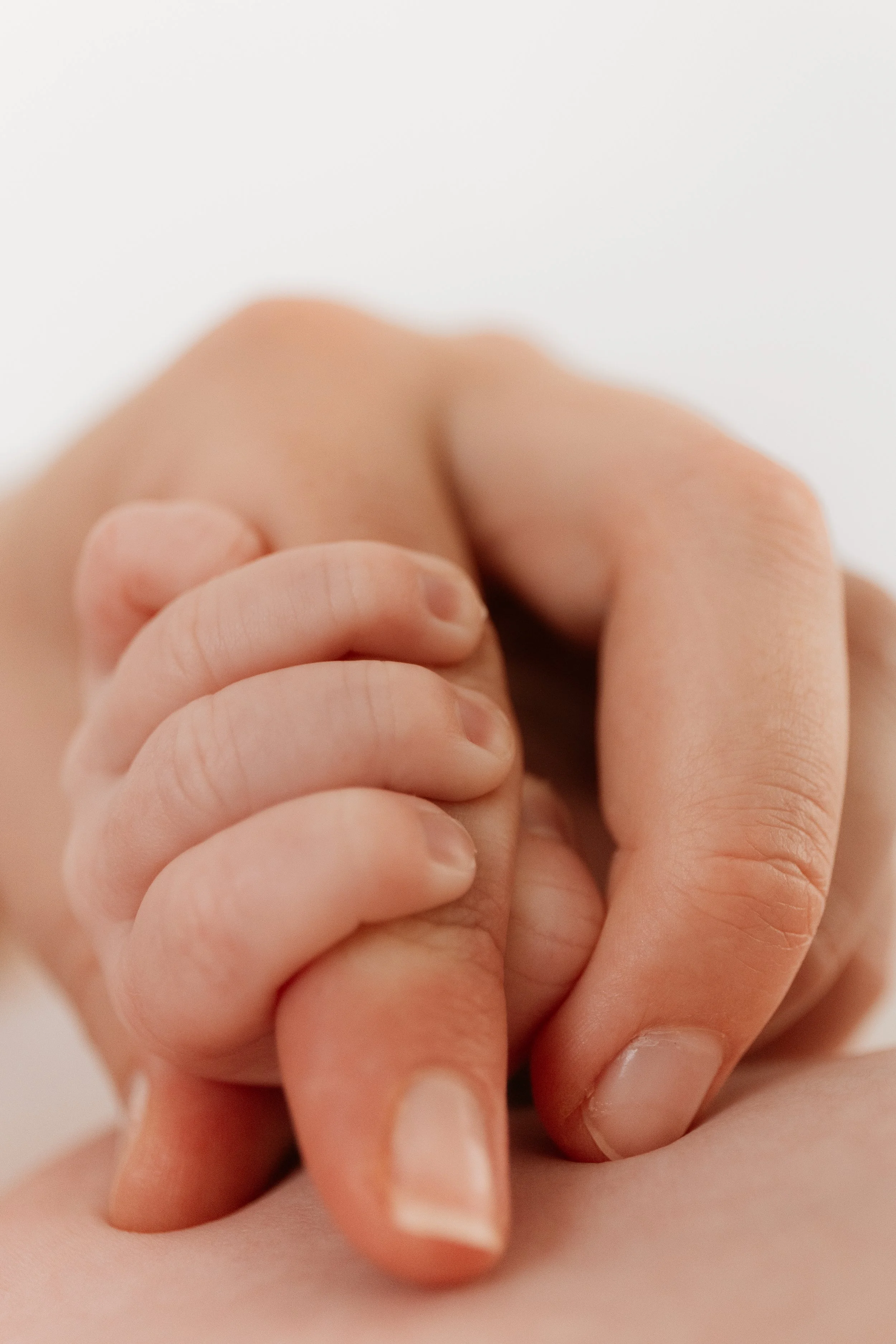 Agata Lee Photography-4912.jpg