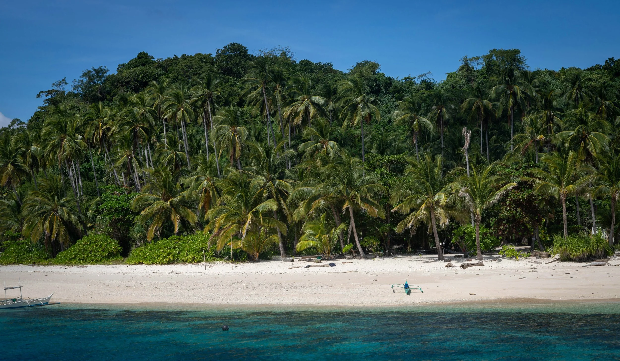 Tropical beach with white sand, calm blue waters, and a dense forest of palm trees and greenery in the background under a clear blue sky.