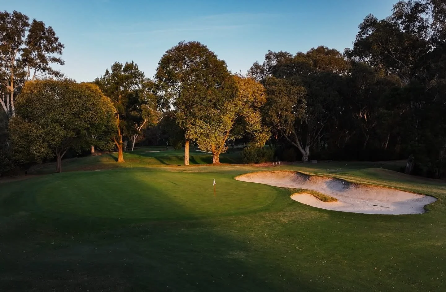 A golf course green with a flag, sand bunkers, surrounded by trees under a clear sky.