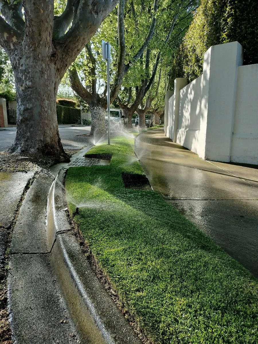 A sidewalk with grass being watered by sprinklers, large trees lining the street, and a white wall on the right side.
