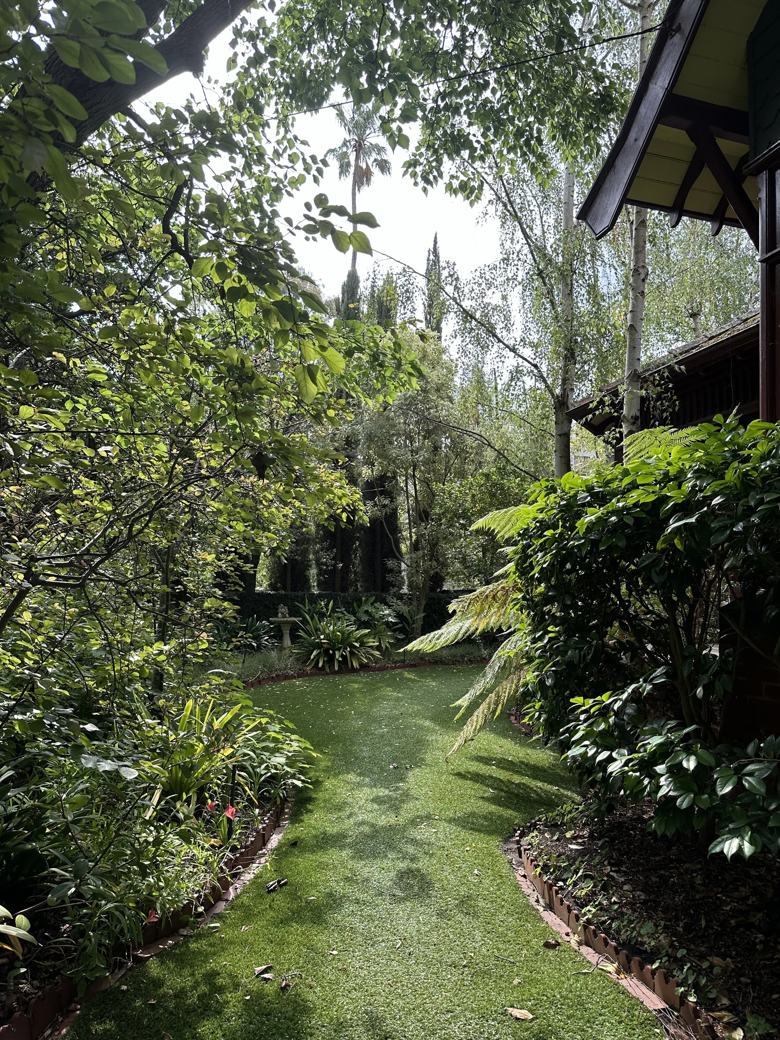 A lush garden with a narrow, curved grass pathway bordered by plants and trees, with sunlight filtering through the foliage.