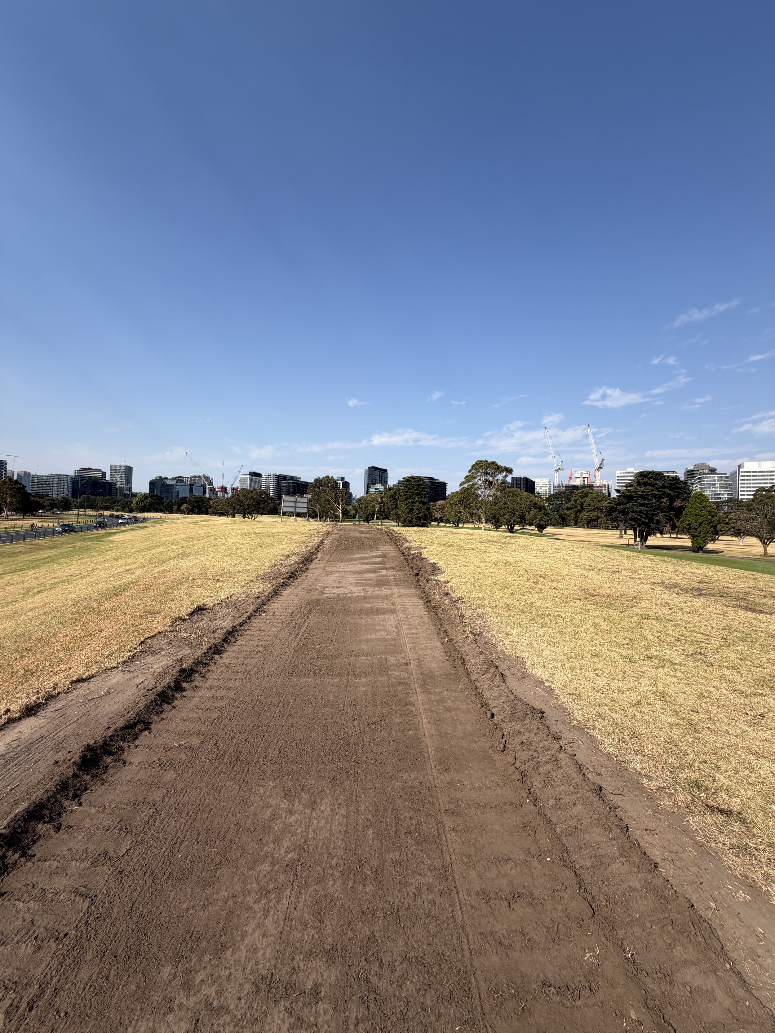 A dirt pathway running through a grassy park with city buildings and cranes in the background under a clear blue sky.