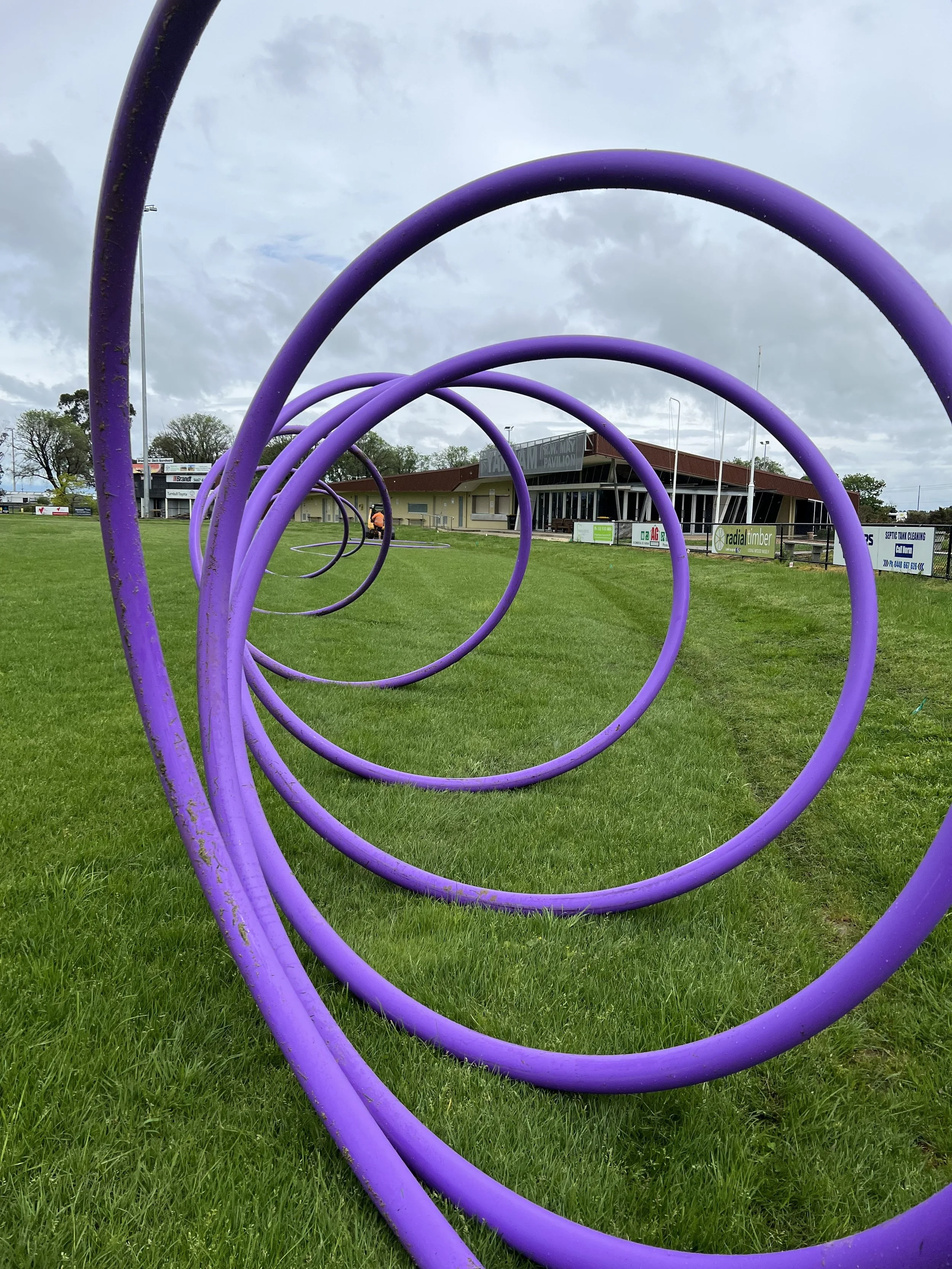 Series of large purple spirals on a grassy field, with a building and signage in the background.