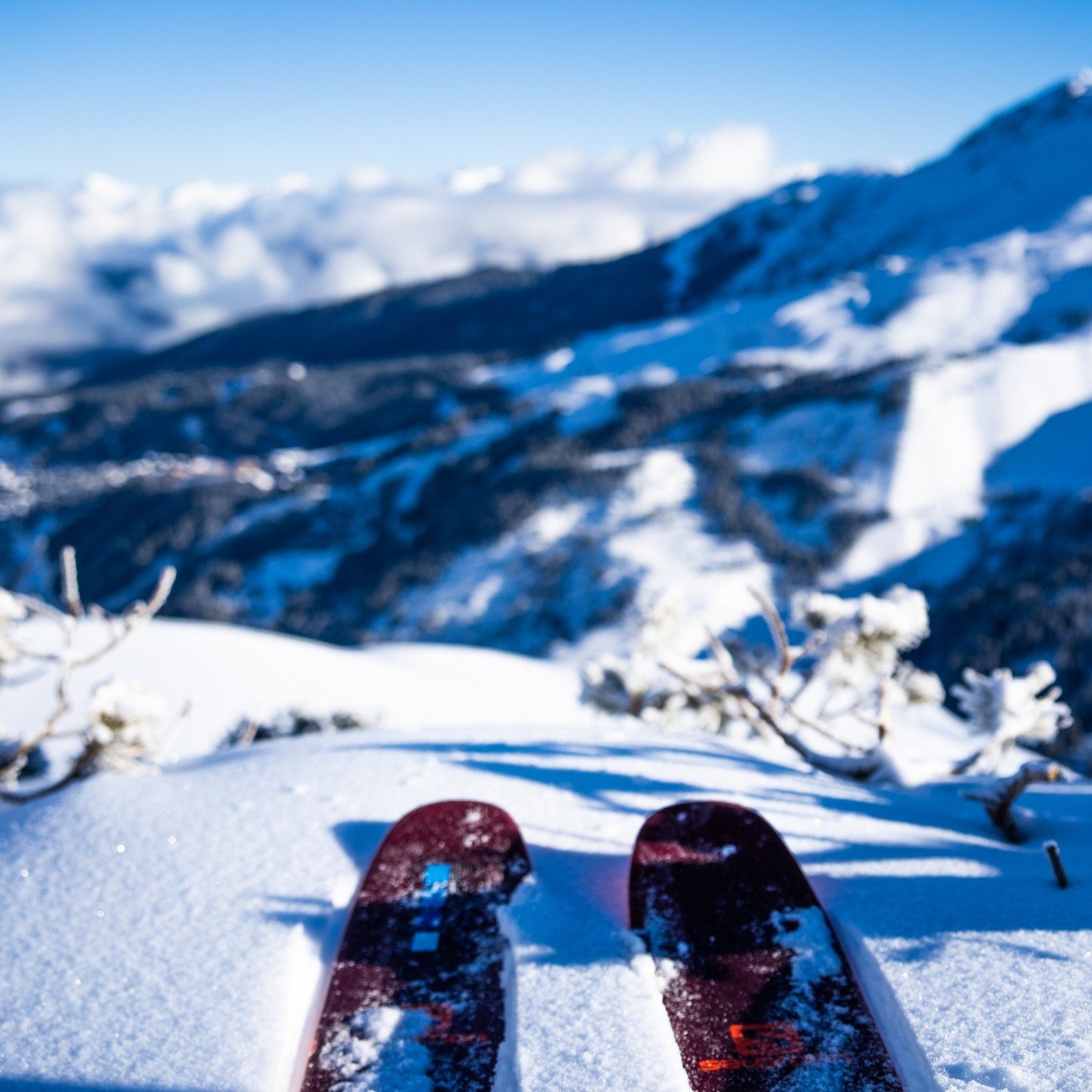 Blue skies. Pristine pistes. Perfect Conditions
Double-tap if you&rsquo;re ready for this view! 
#PowderPinesTravel #Ski #Winterholiday #BluebirdDay #SkiLife #PowderGoals #AlpsAdventure
PC: OT_Chamonix-Mont-Blanc &amp; SylvainAymoz