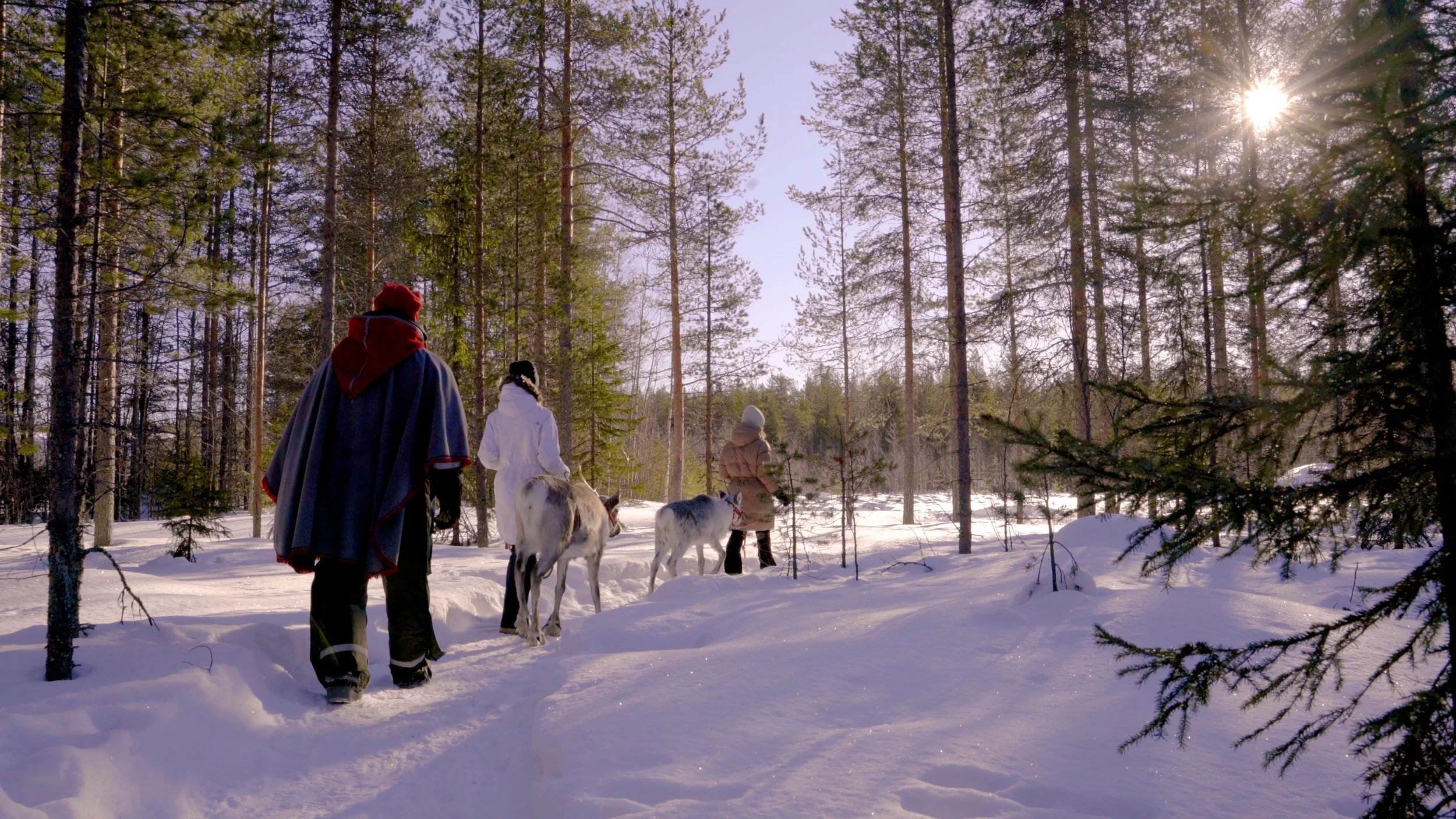 People walking with reindeer through a snow-covered forest during the daytime with sunlight streaming through the trees.