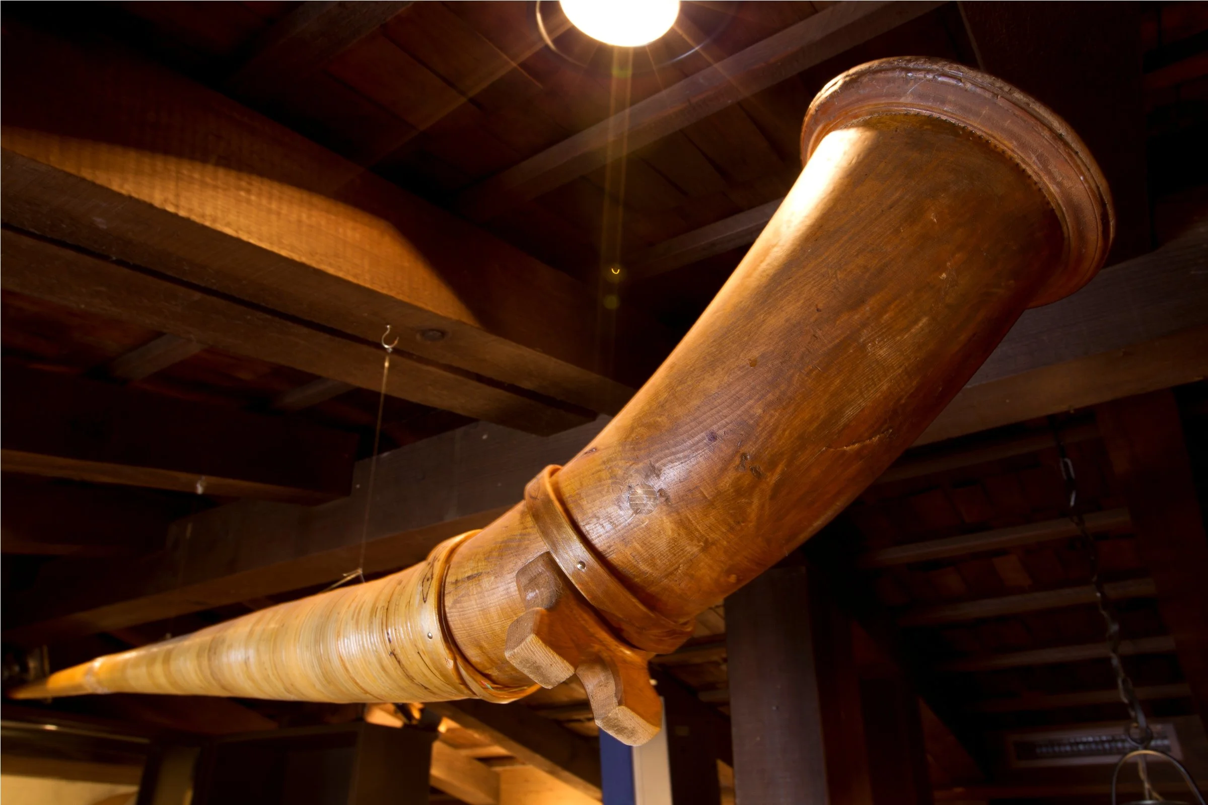 23d Alphorn.jpg