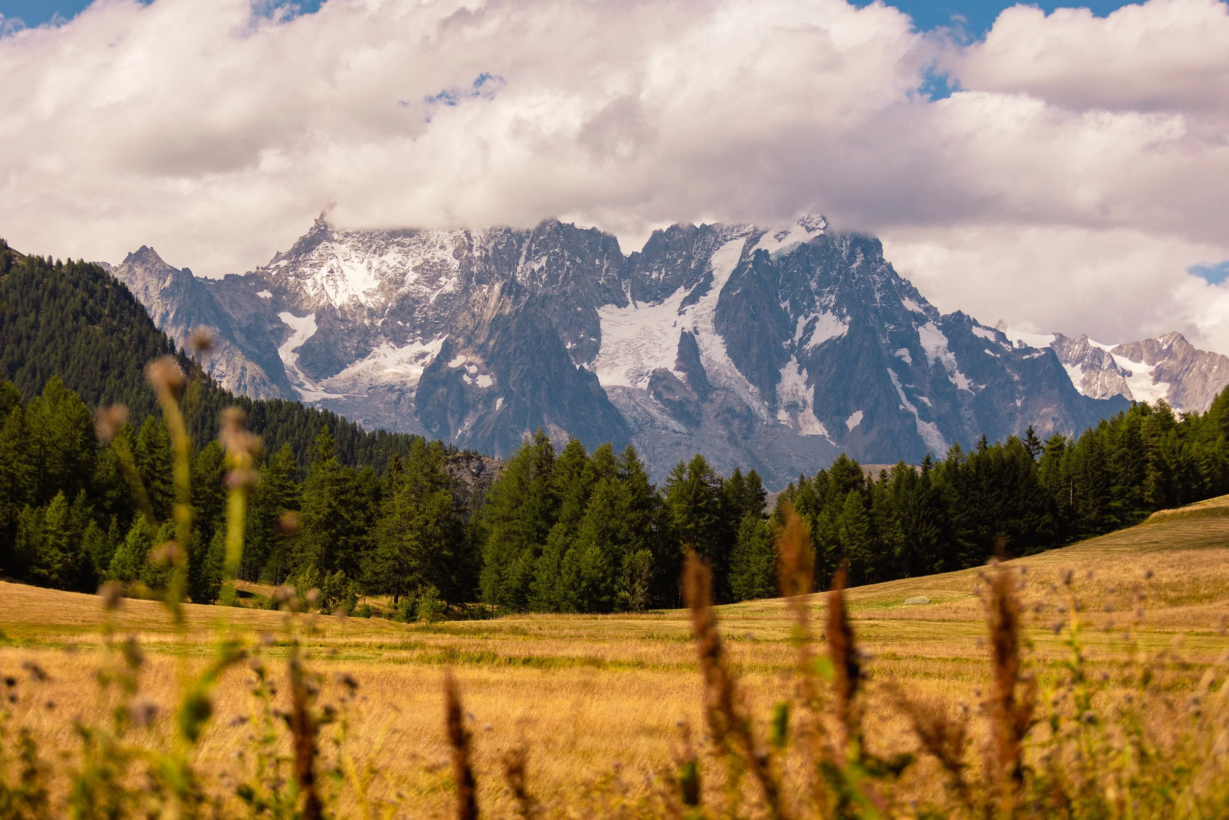DS_Montana Lodge_Shooting_Ago25 (65).jpg